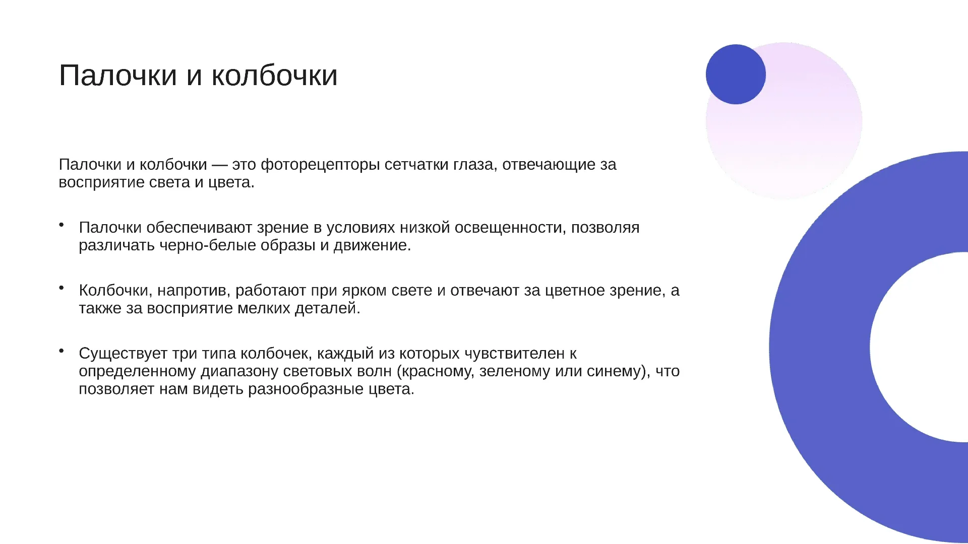 Палочки и колбочки - слайд для презентации на тему 