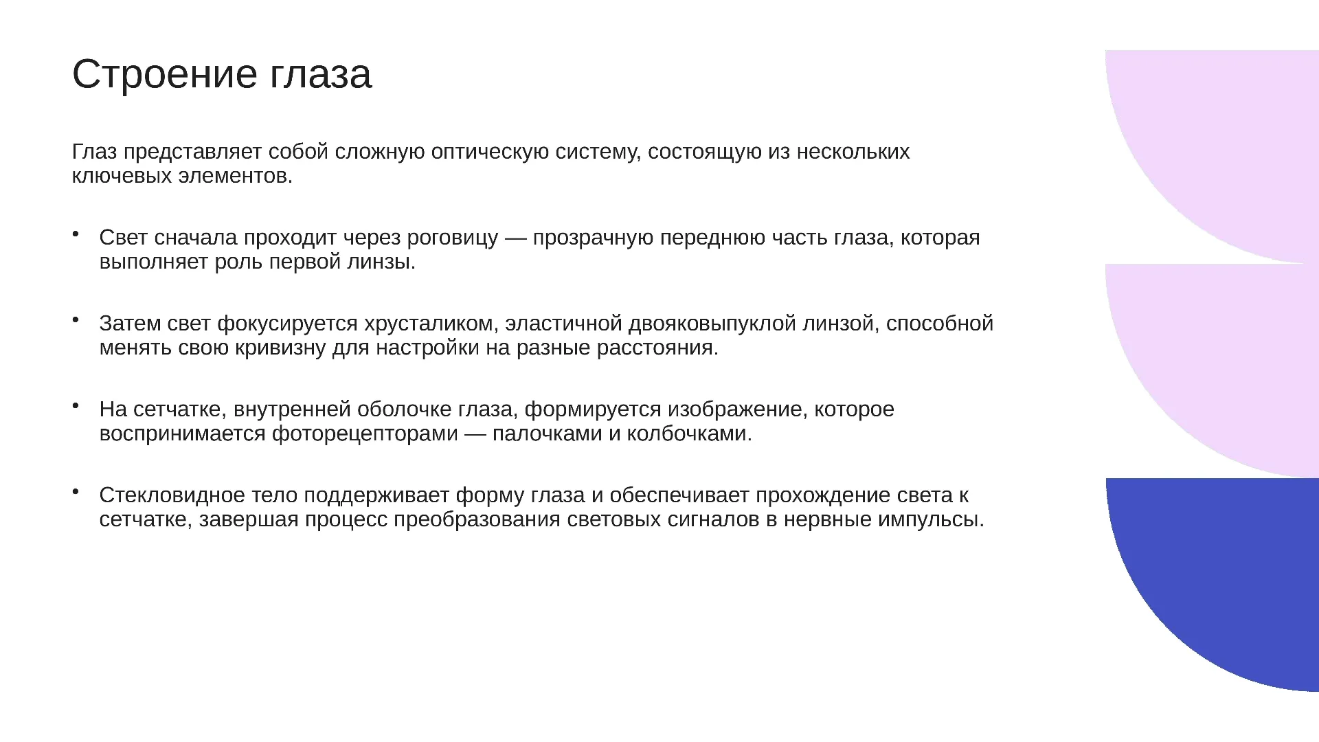 Строение глаза - слайд для презентации на тему 