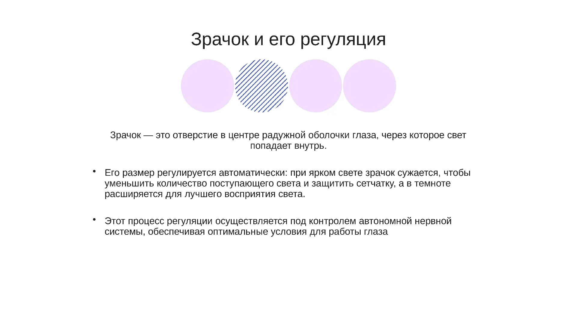 Зрачок и его регуляция - слайд для презентации на тему 