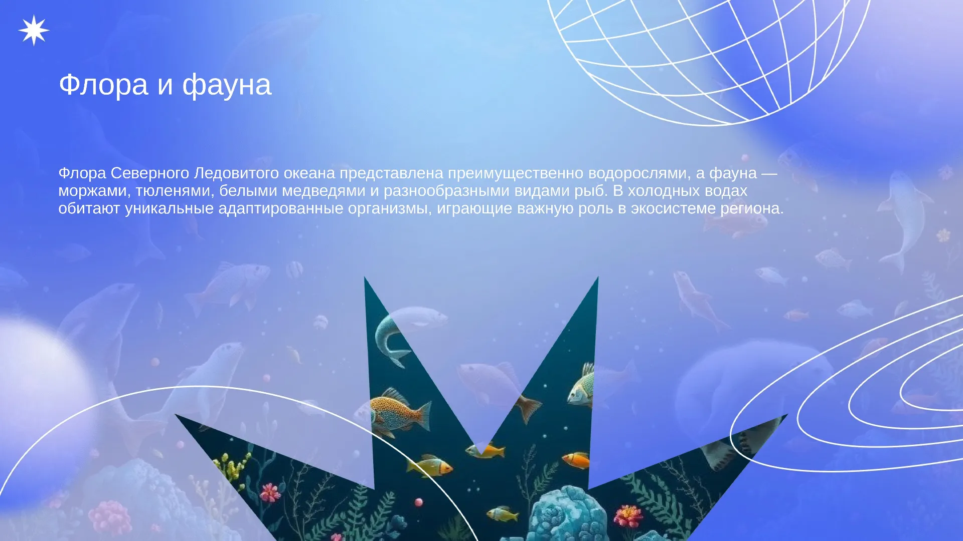 Флора и фауна - слайд для презентации на тему 
