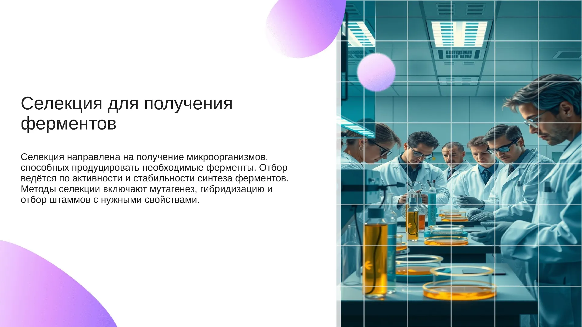 Селекция для получения ферментов - слайд для презентации на тему 