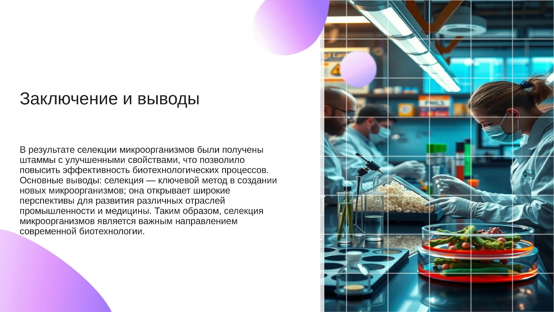 Заключение и выводы - слайд для презентации на тему 