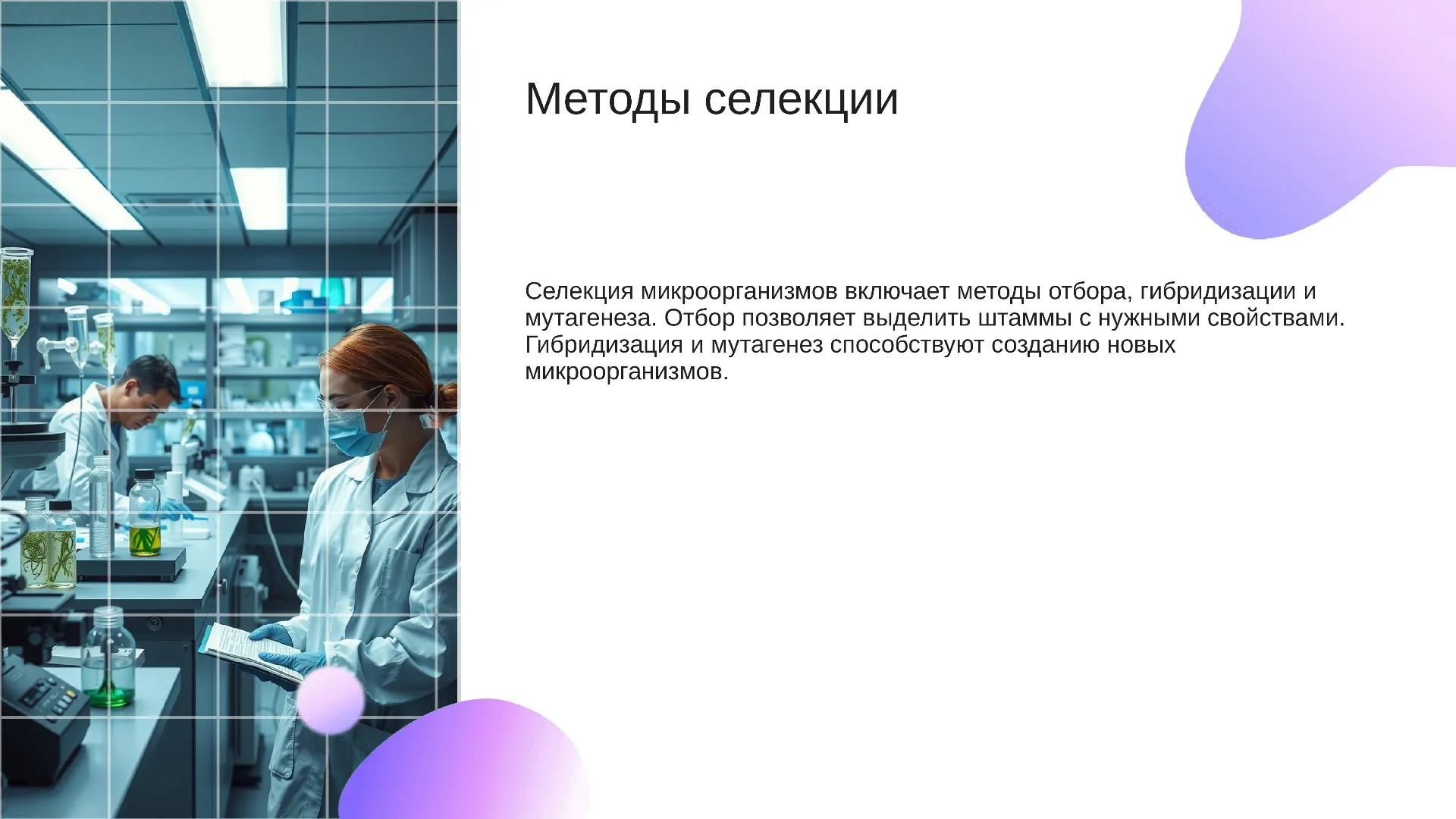 Методы селекции - слайд для презентации на тему 