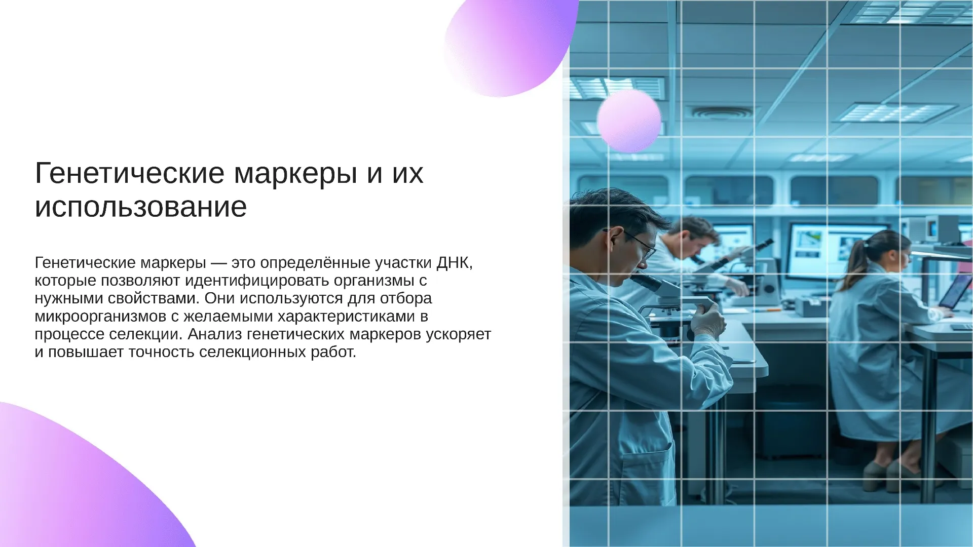 Генетические маркеры и их использование - слайд для презентации на тему 