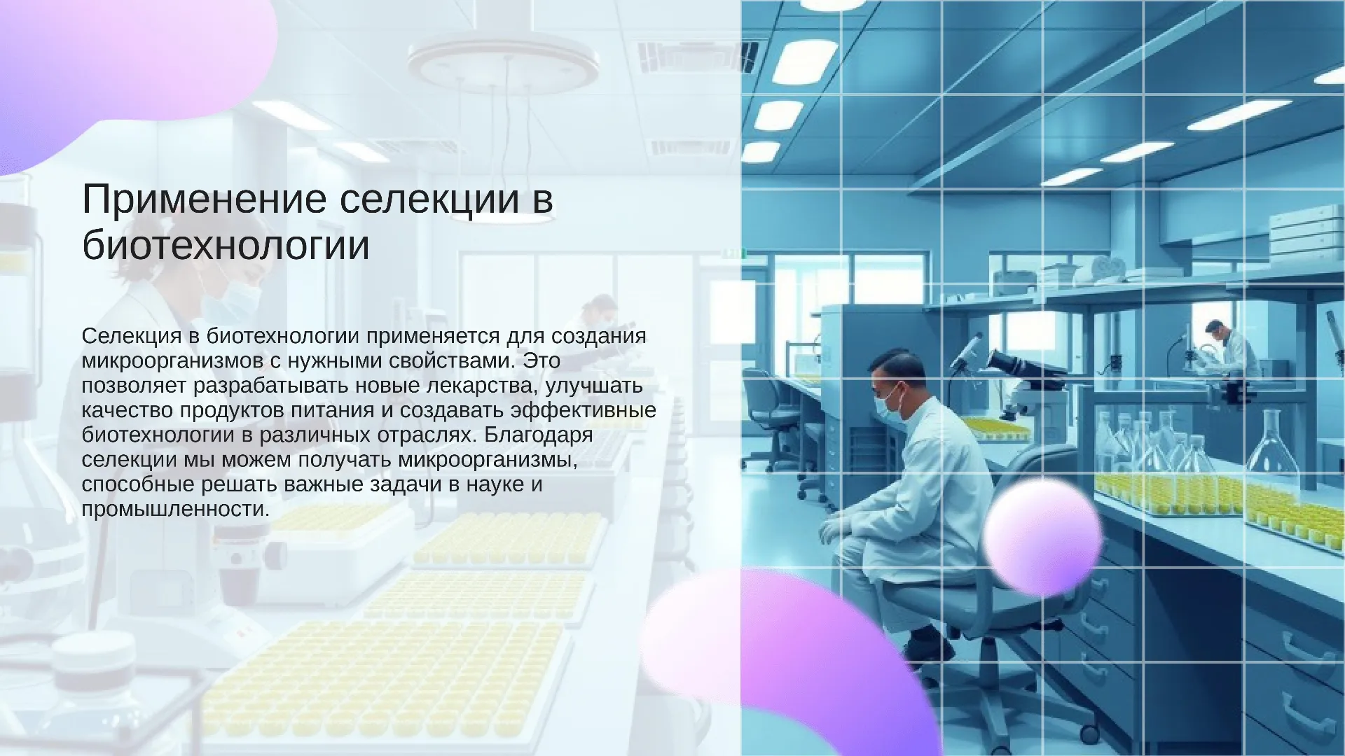 Применение селекции в биотехнологии - слайд для презентации на тему 