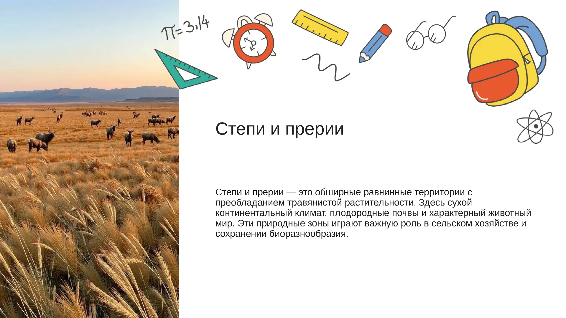 Степи и прерии - слайд для презентации на тему 