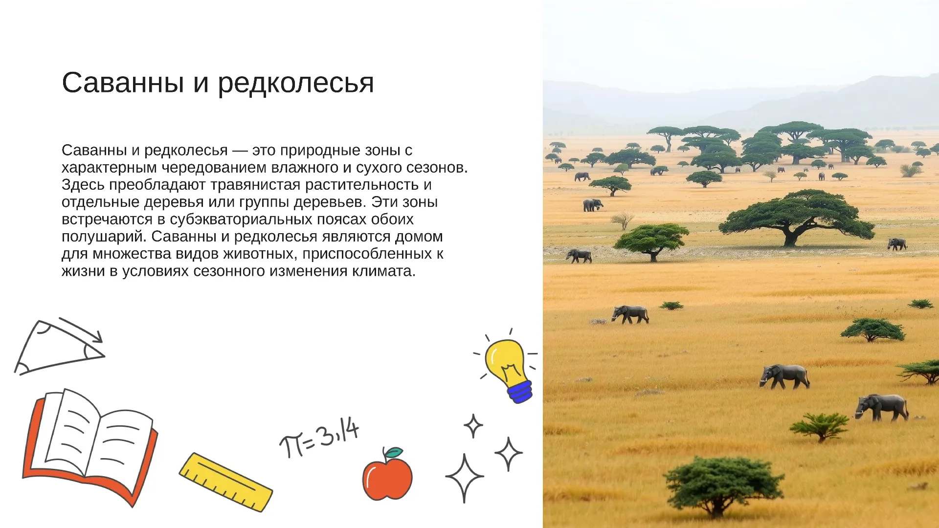 Саванны и редколесья - слайд для презентации на тему 