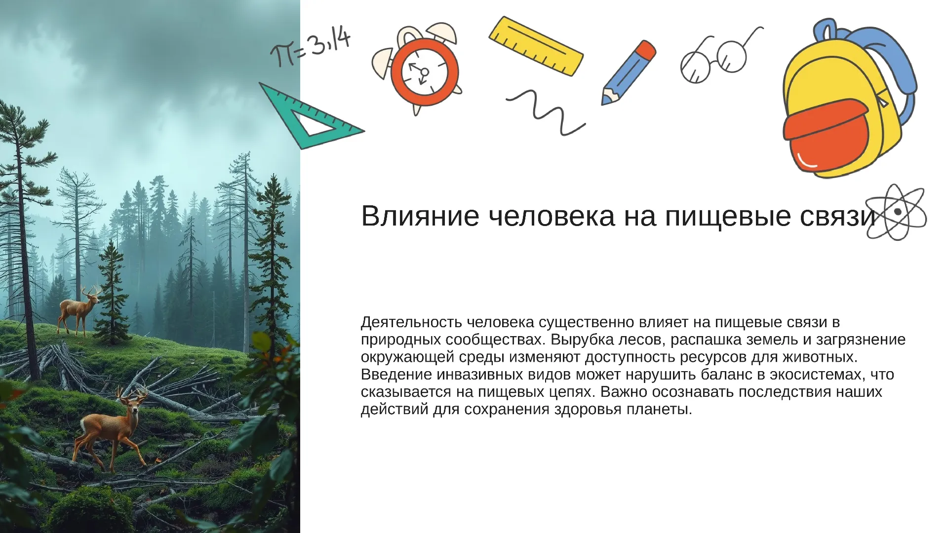 Влияние человека на пищевые связи - слайд для презентации на тему 