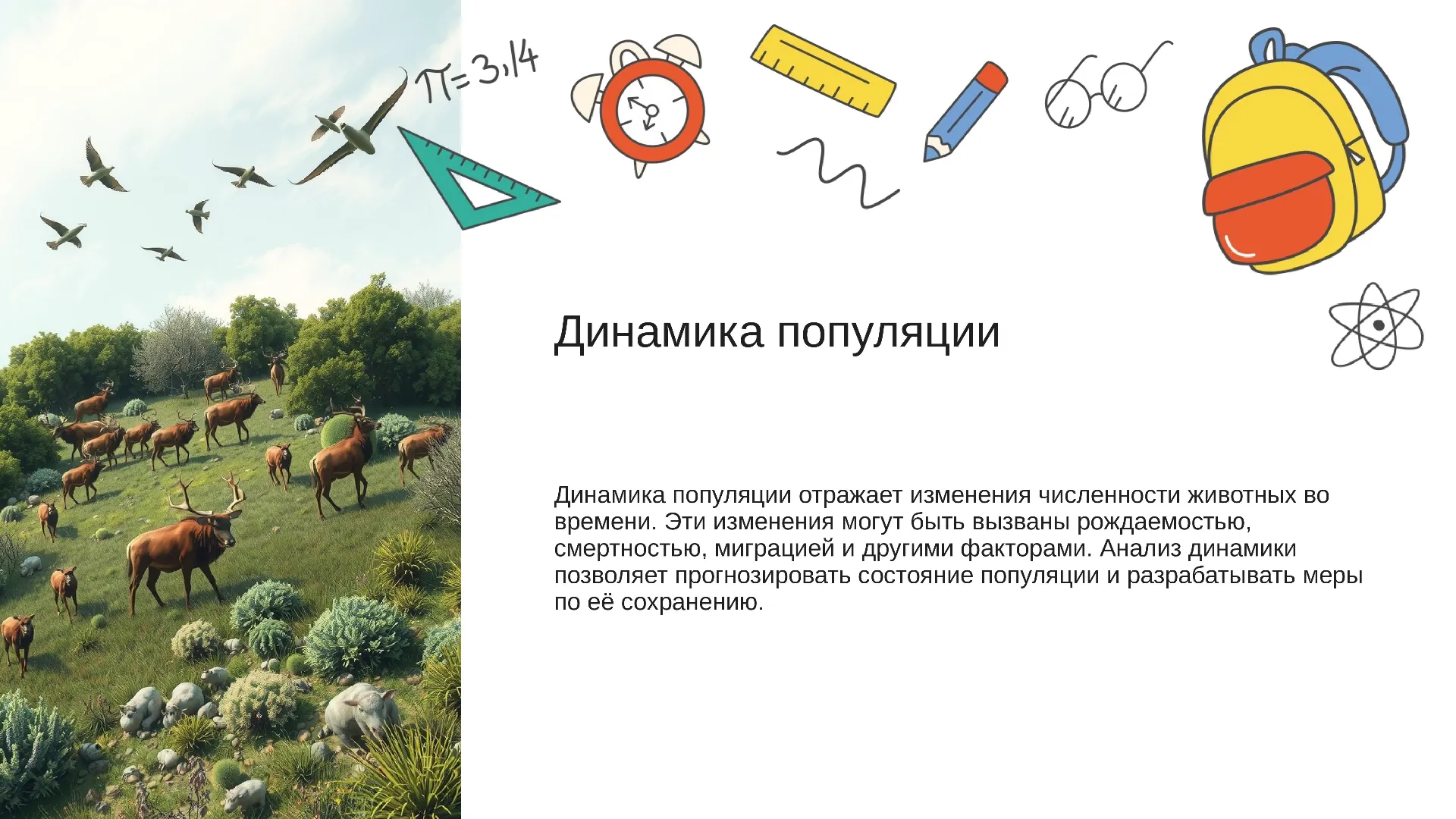 Динамика популяции - слайд для презентации на тему 