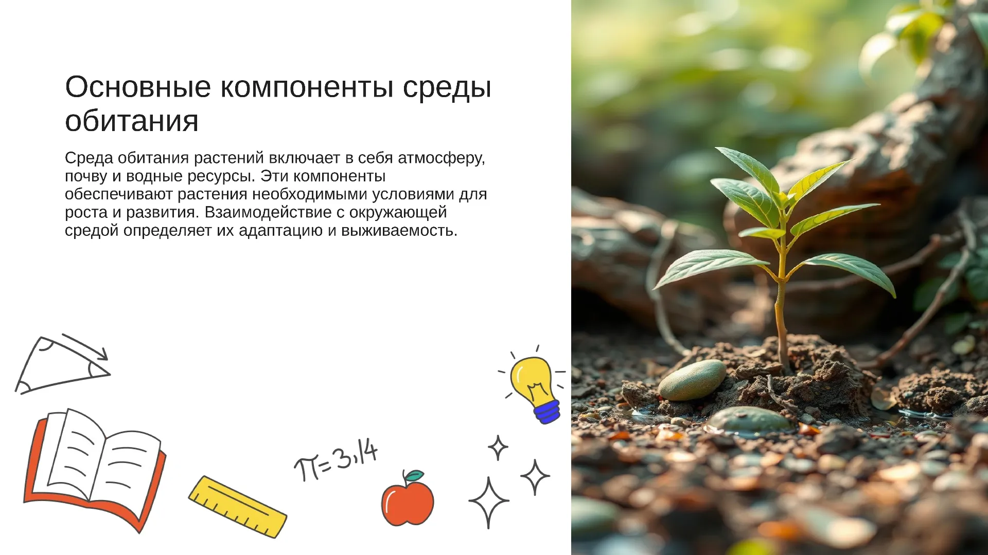 Основные компоненты среды обитания - слайд для презентации на тему 