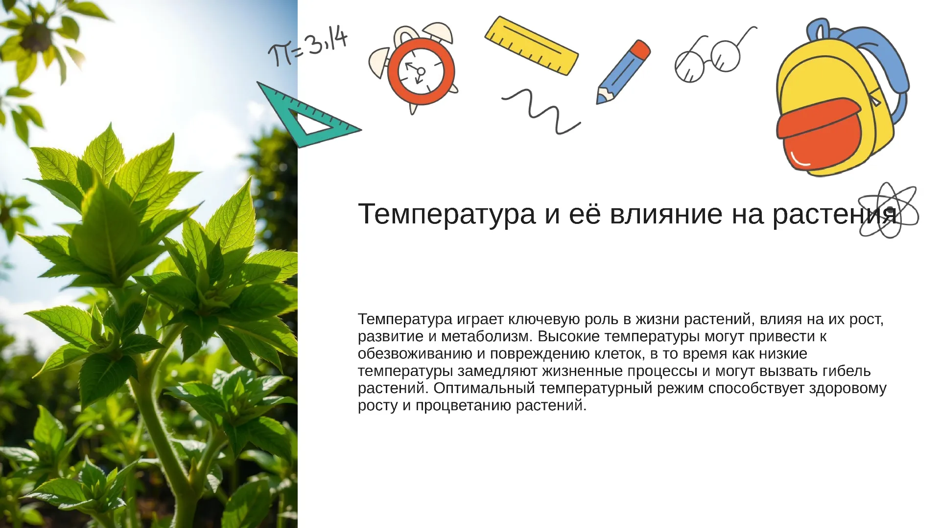 Температура и её влияние на растения - слайд для презентации на тему 