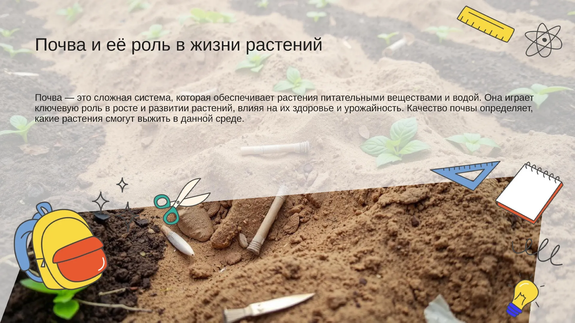 Почва и её роль в жизни растений - слайд для презентации на тему 