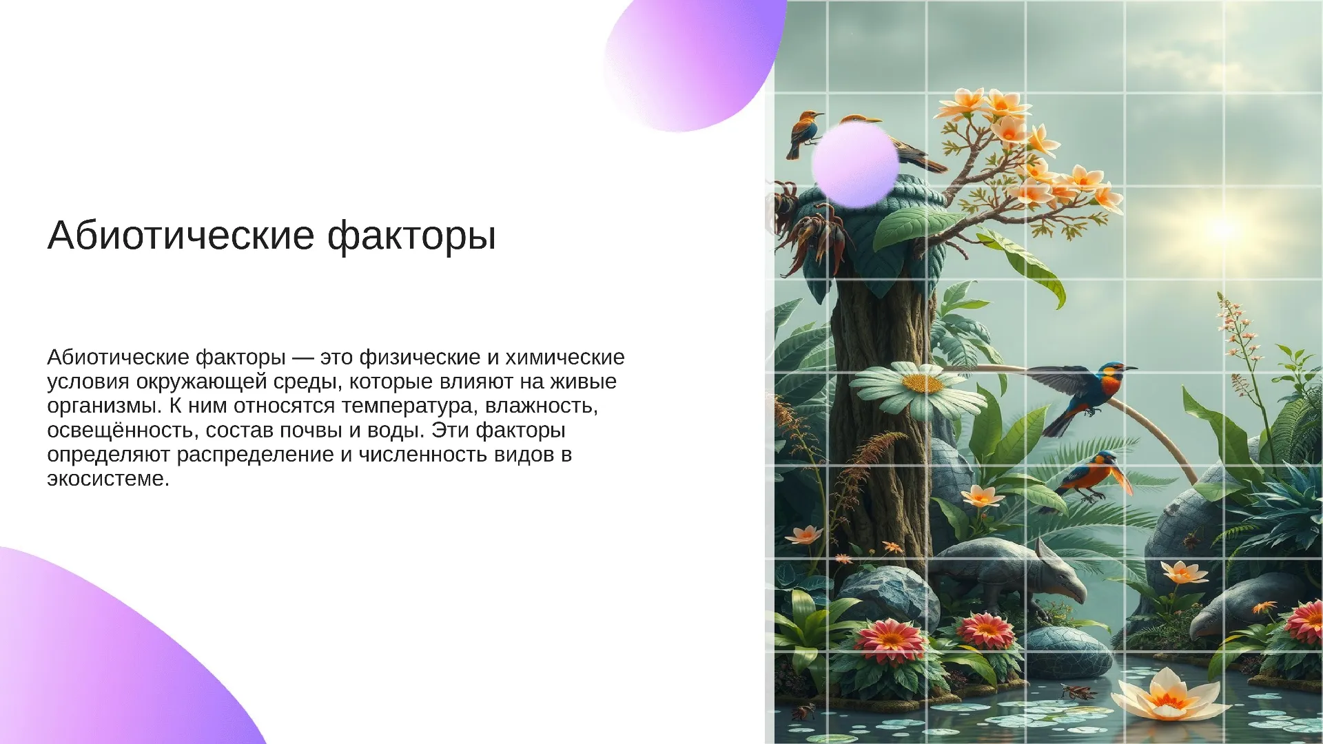 Абиотические факторы - слайд для презентации на тему 