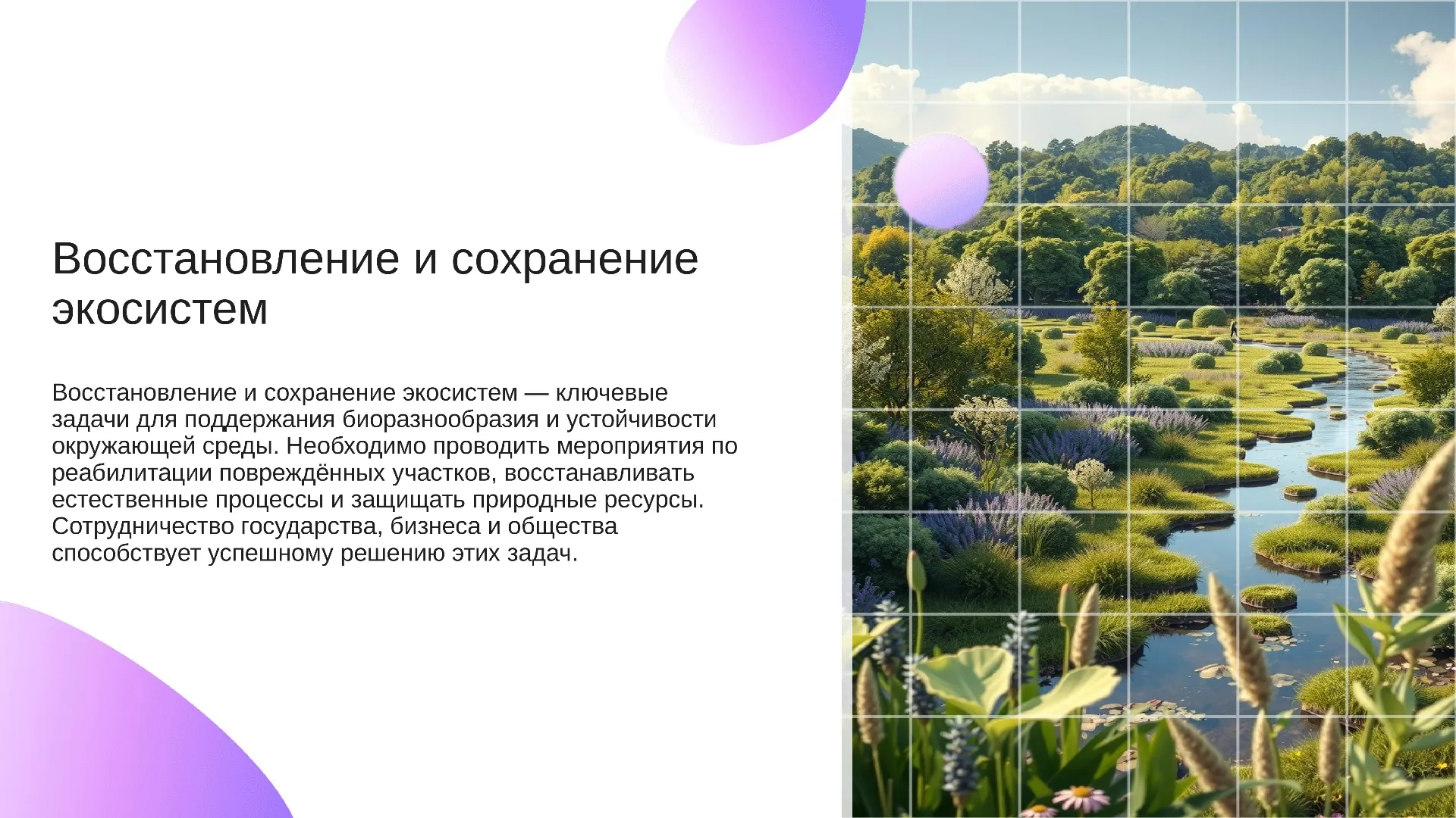 Восстановление и сохранение экосистем - слайд для презентации на тему 