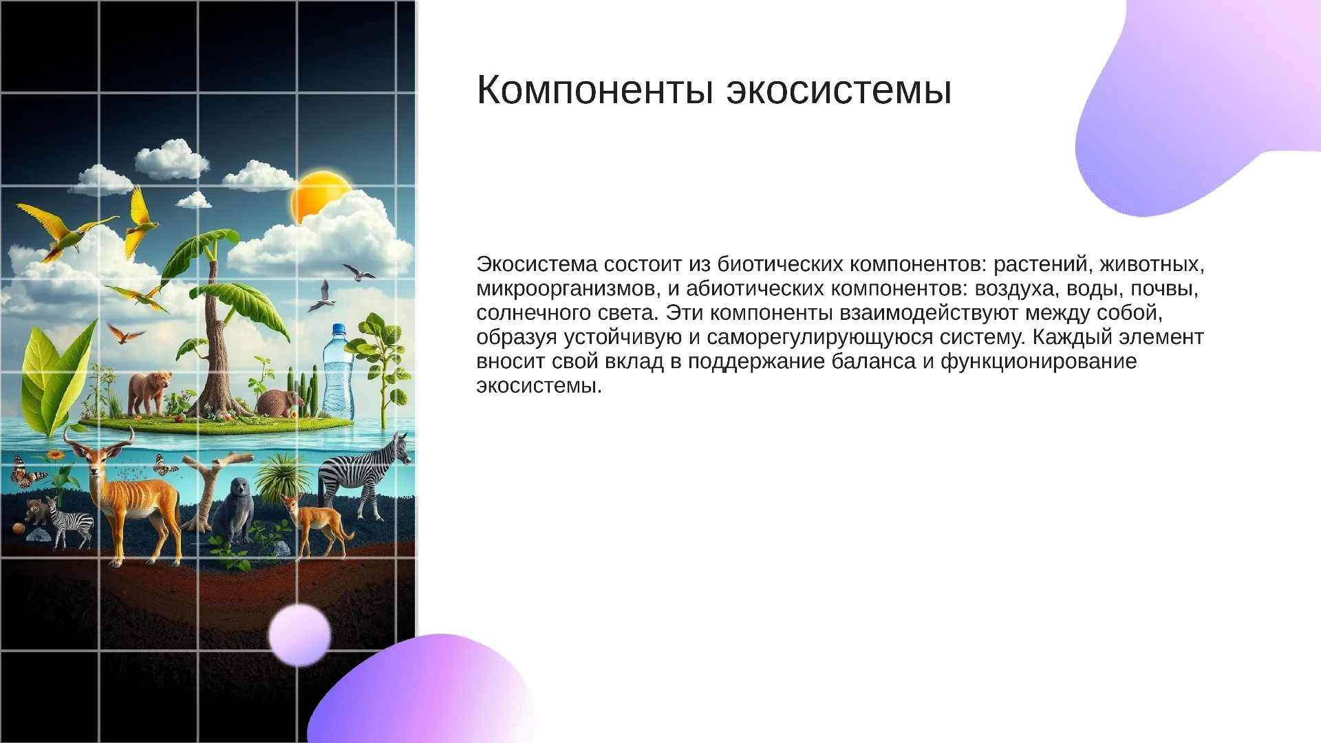 Компоненты экосистемы - слайд для презентации на тему 