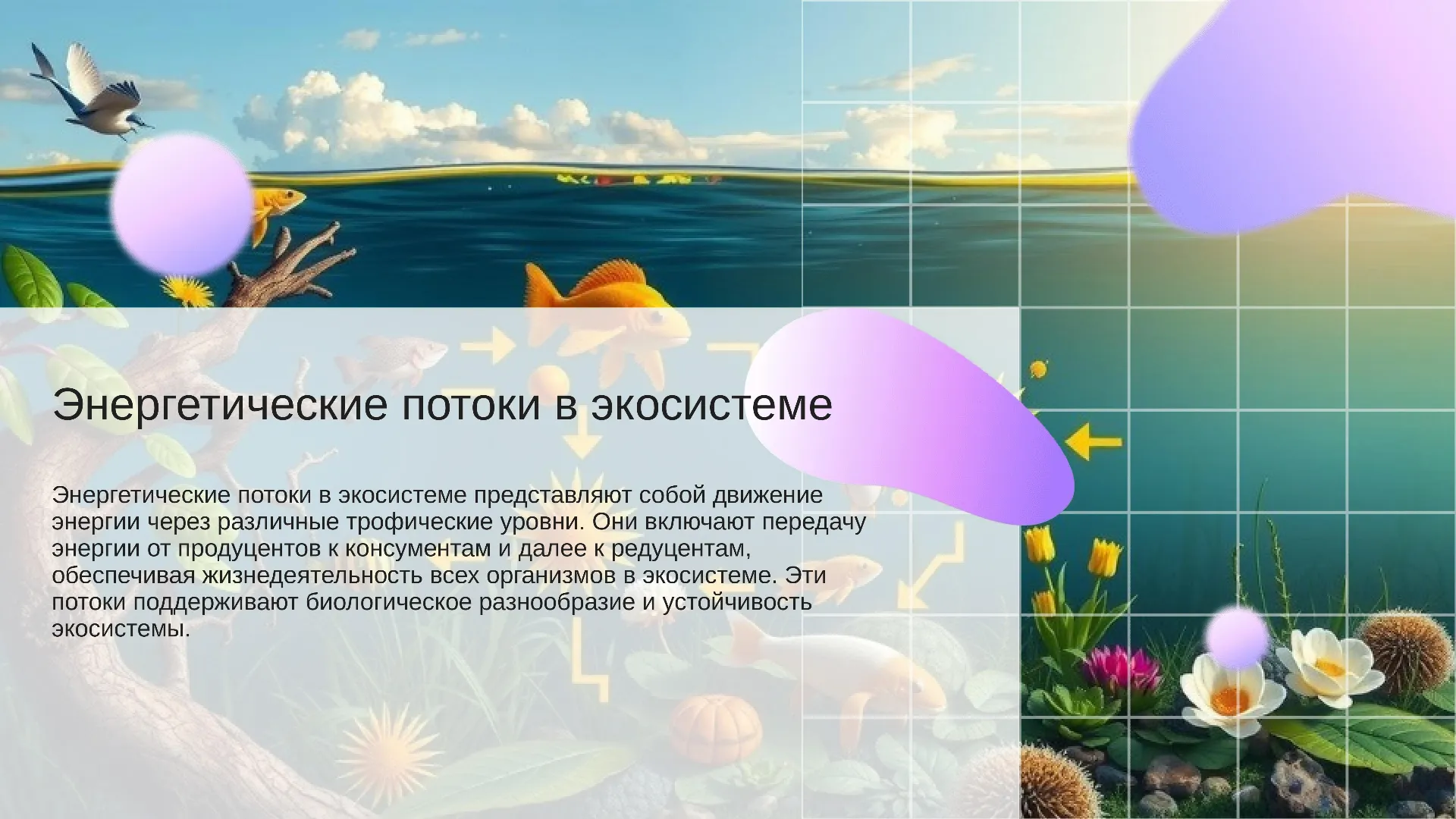 Энергетические потоки в экосистеме - слайд для презентации на тему 