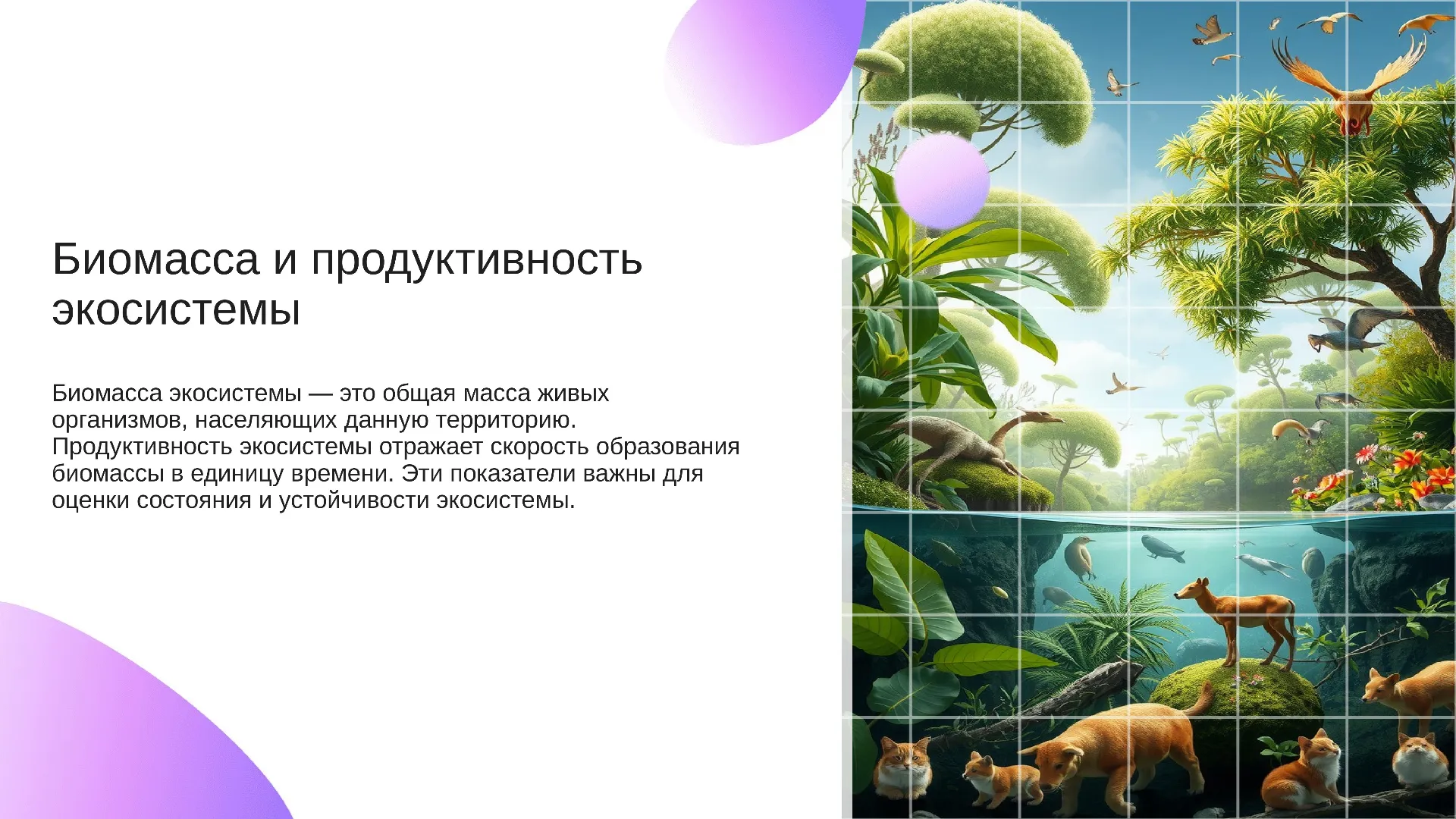 Биомасса и продуктивность экосистемы - слайд для презентации на тему 