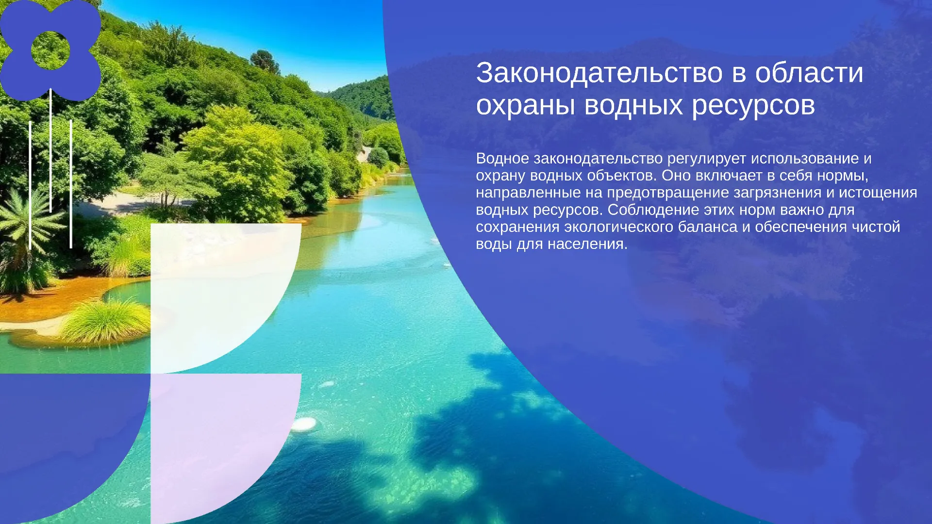 Законодательство в области охраны водных ресурсов - слайд для презентации на тему 