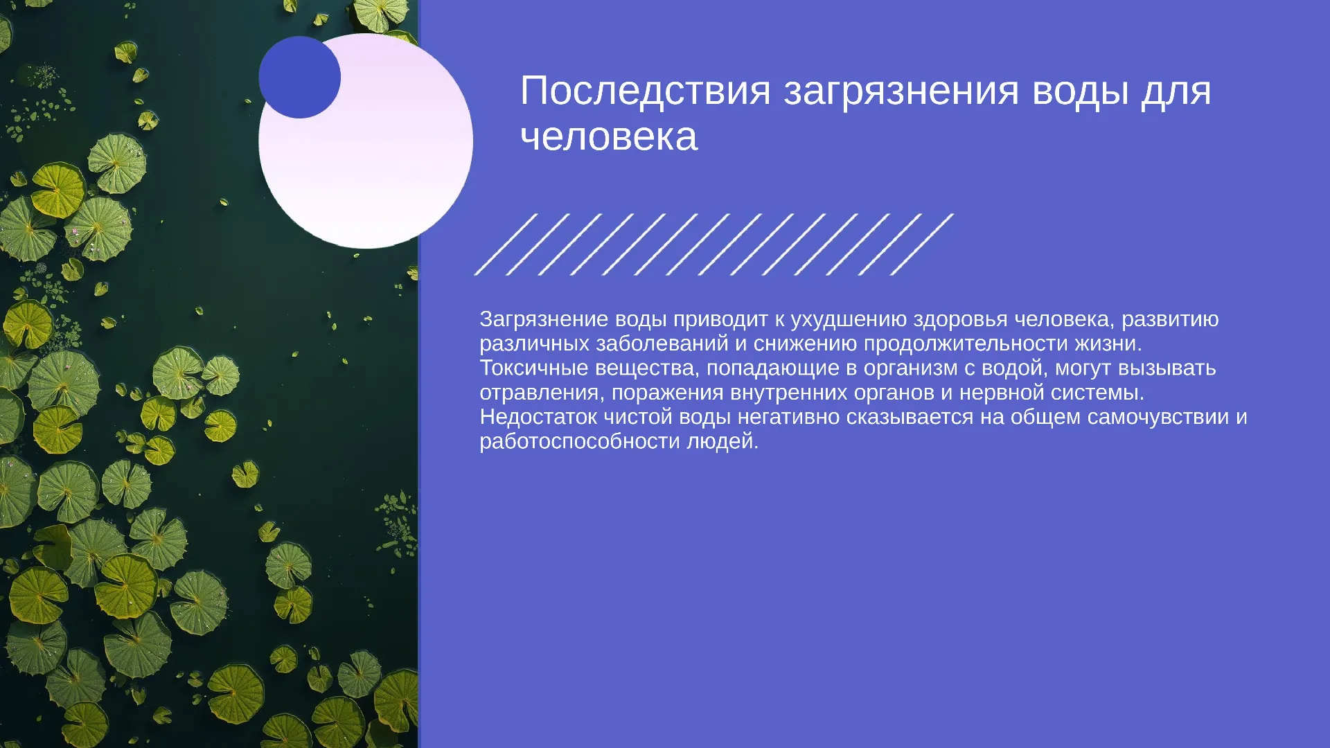 Последствия загрязнения воды для человека - слайд для презентации на тему 