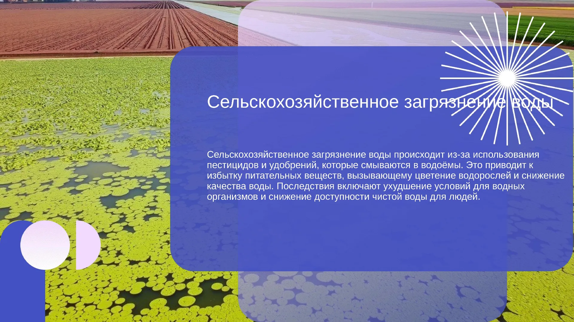 Сельскохозяйственное загрязнение воды - слайд для презентации на тему 
