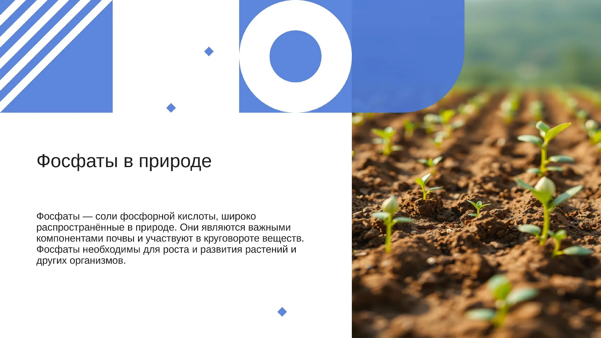 Фосфаты в природе - слайд для презентации на тему 