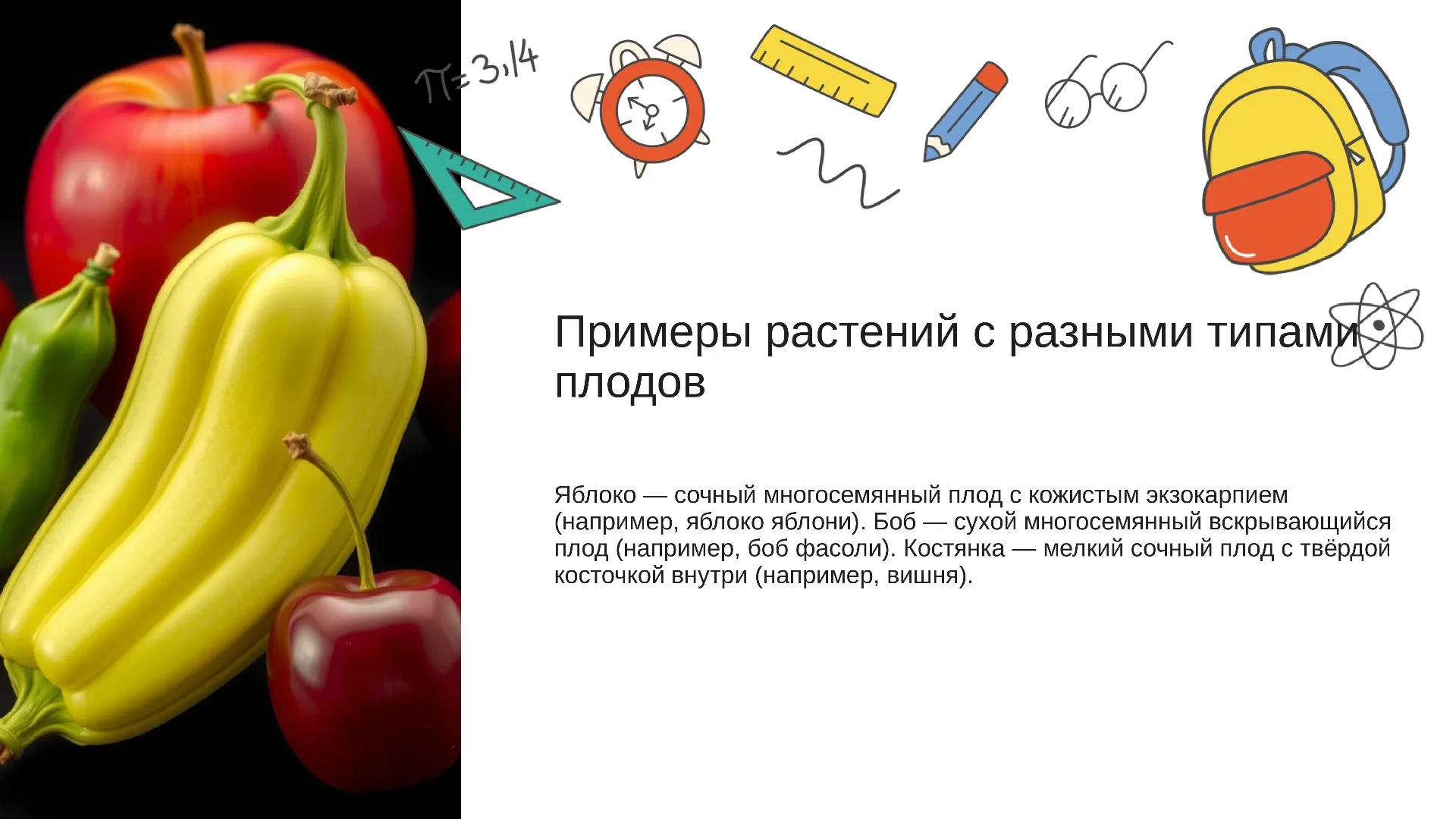 Примеры растений с разными типами плодов - слайд для презентации на тему 