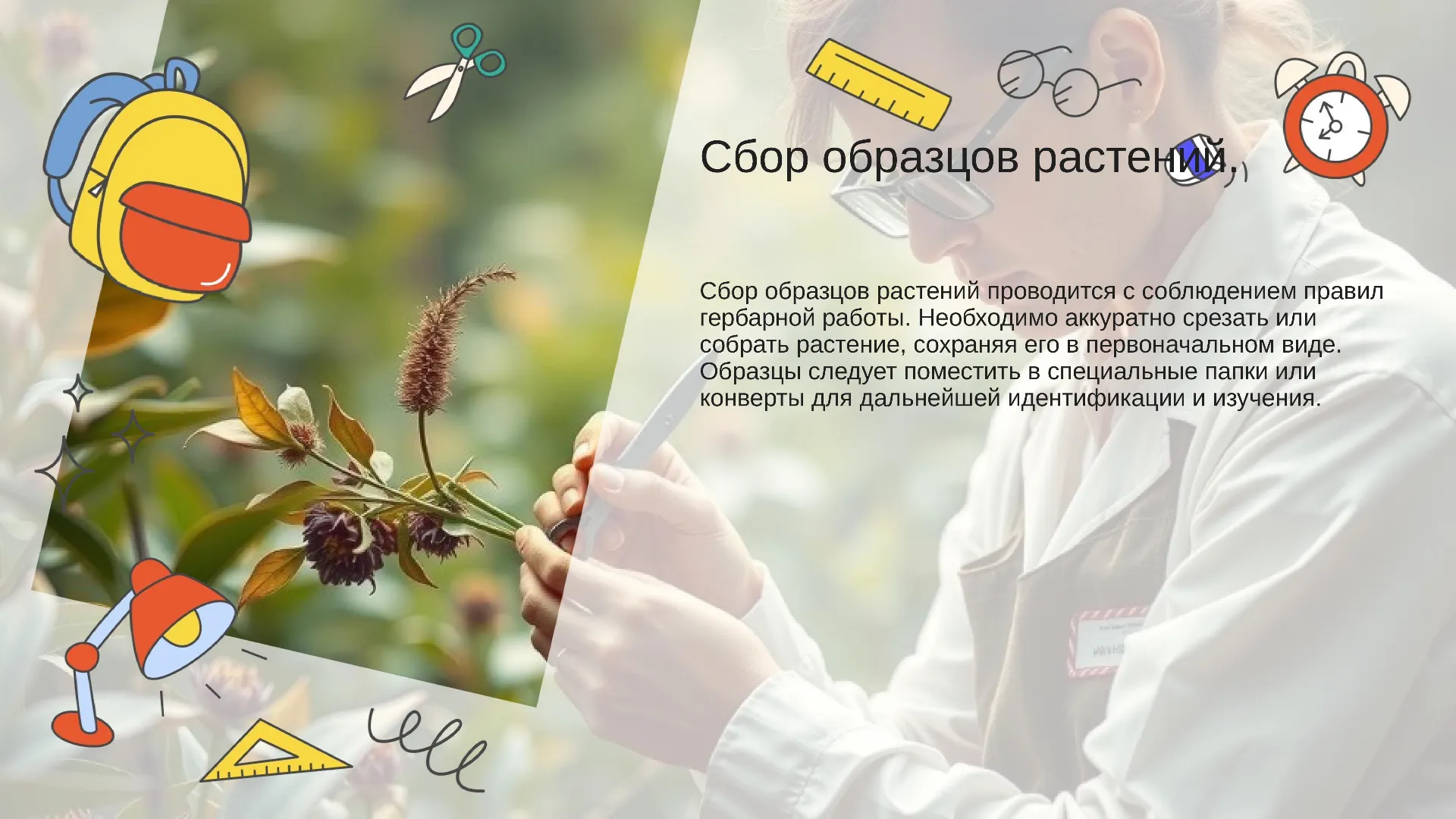 Сбор образцов растений. - слайд для презентации на тему 