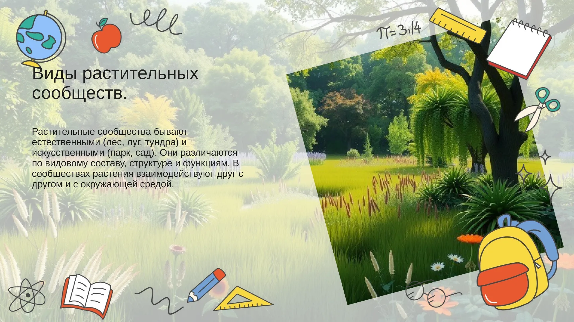 Виды растительных сообществ. - слайд для презентации на тему 