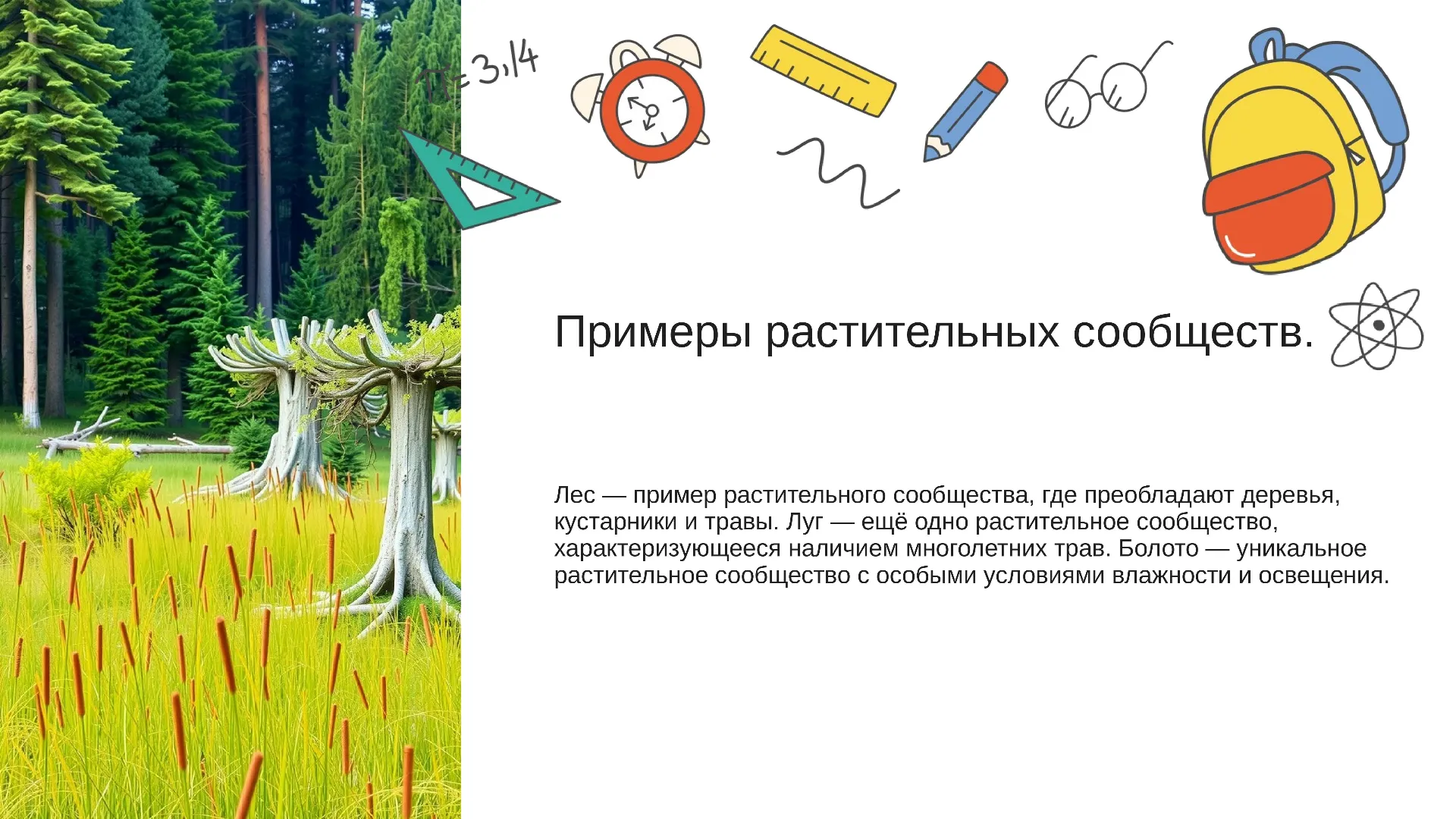Примеры растительных сообществ. - слайд для презентации на тему 