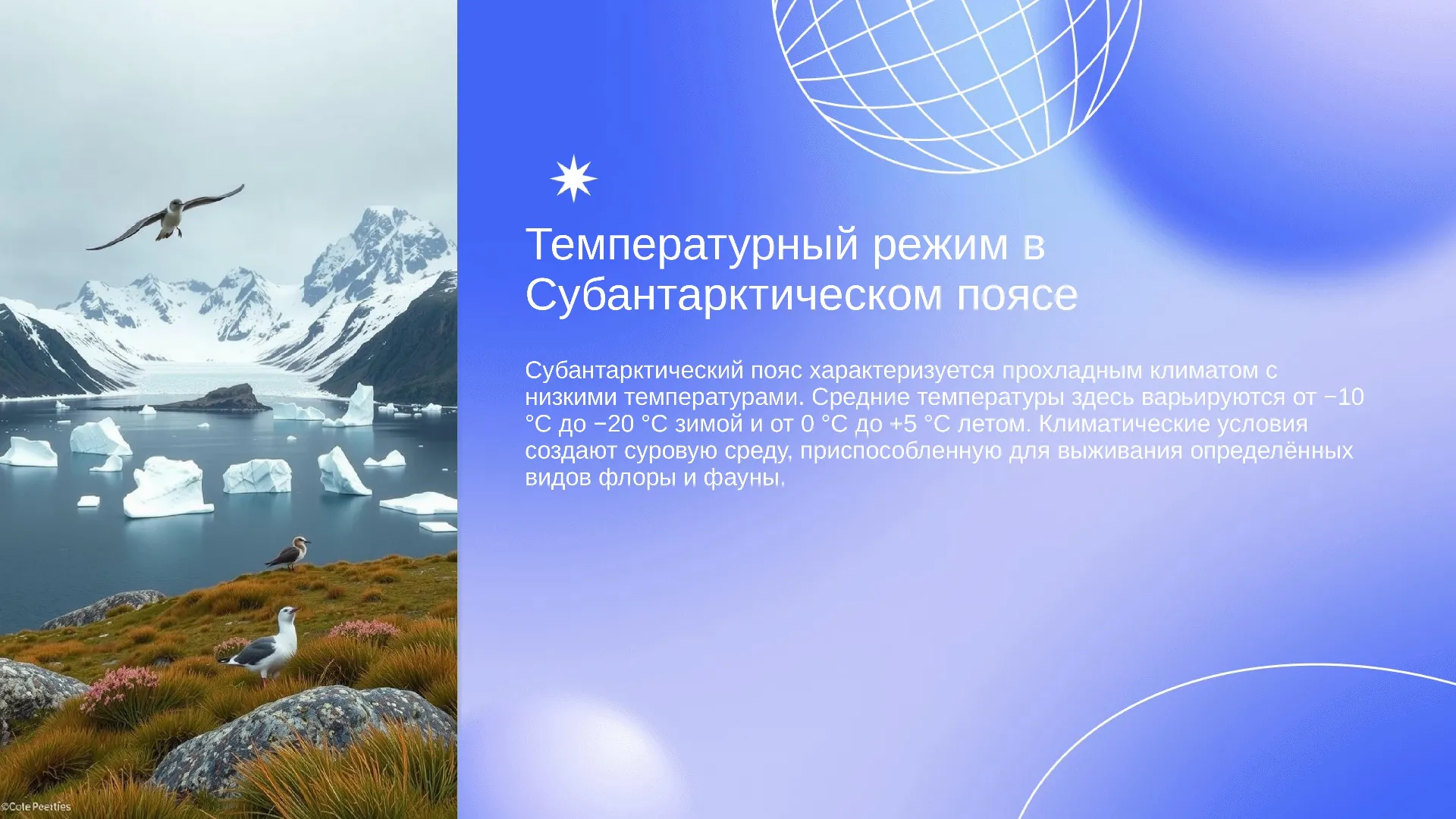 Температурный режим в Субантарктическом поясе - слайд для презентации на тему 