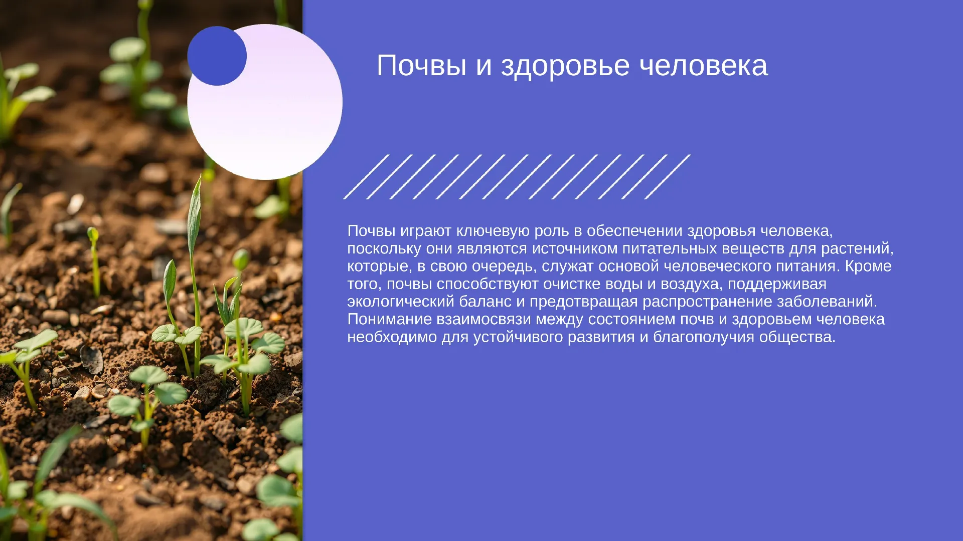 Почвы и здоровье человека - слайд для презентации на тему 