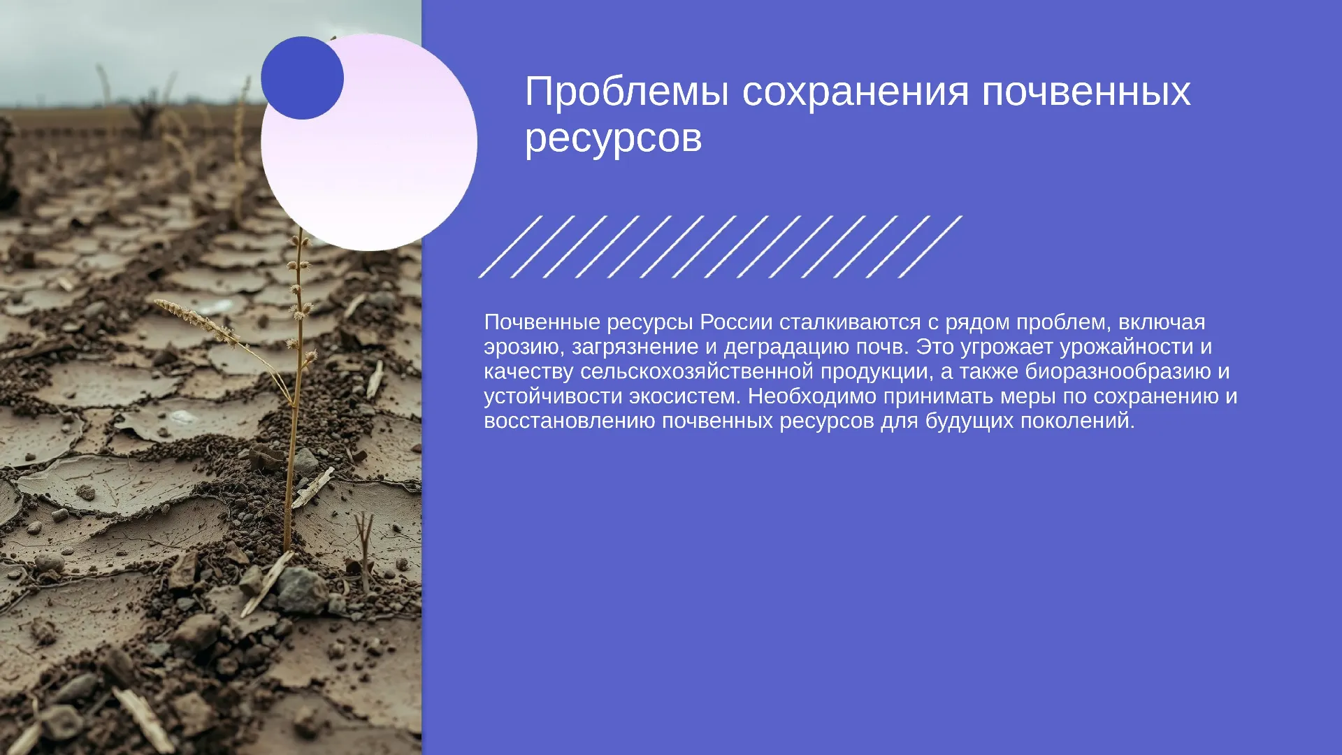 Проблемы сохранения почвенных ресурсов - слайд для презентации на тему 