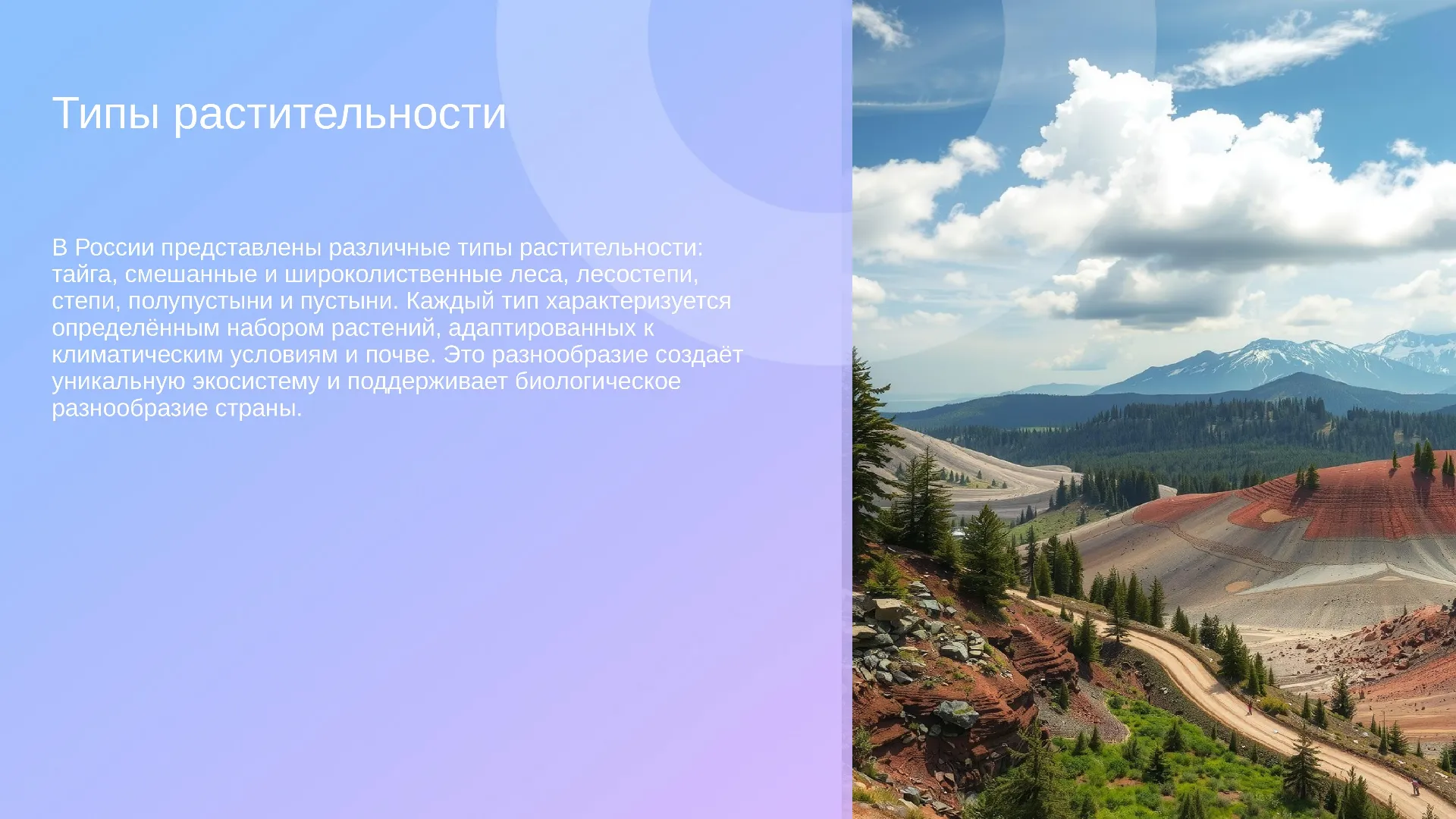 Типы растительности - слайд для презентации на тему 