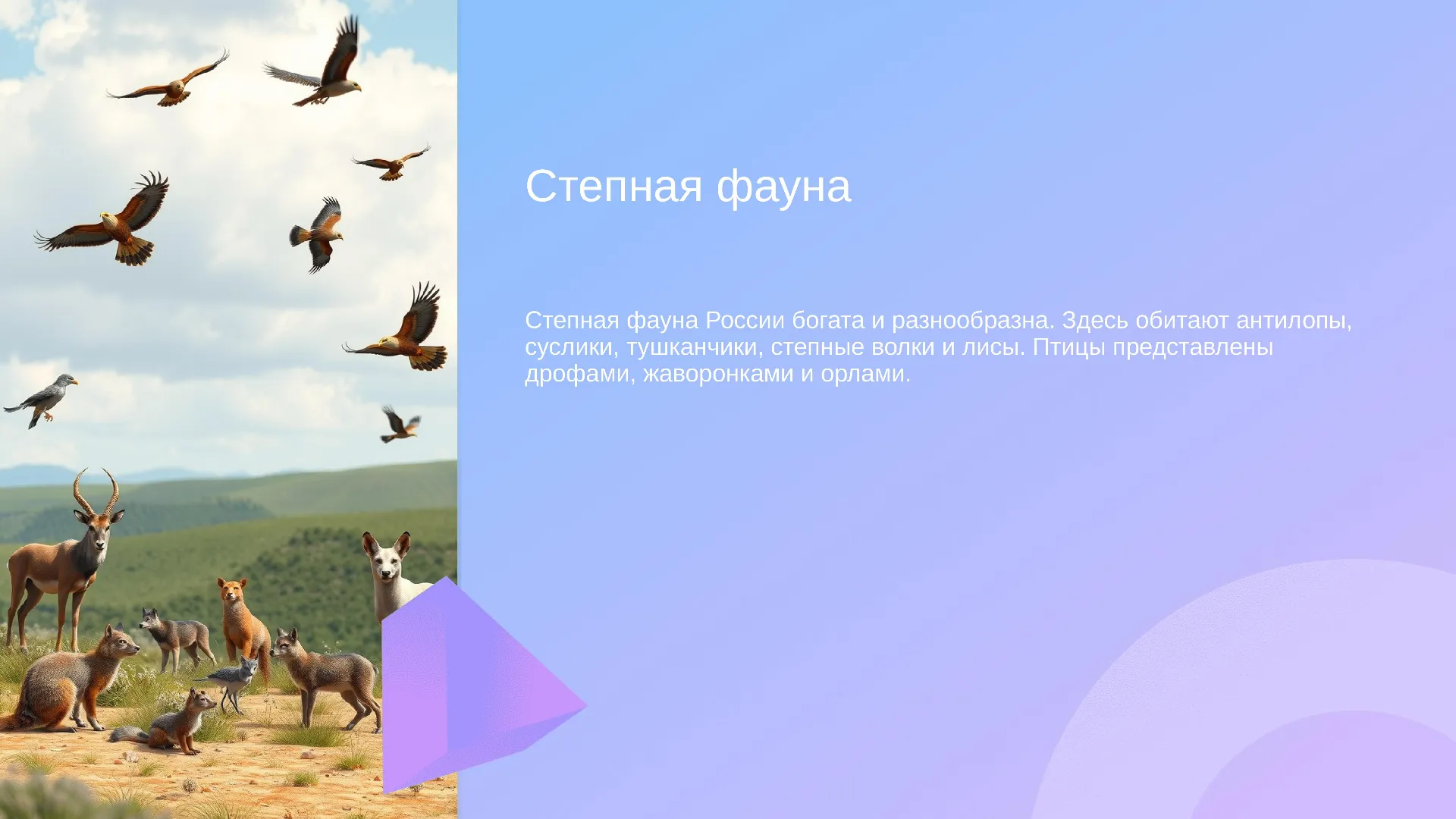 Степная фауна - слайд для презентации на тему 