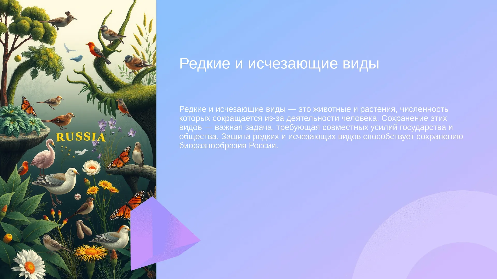 Редкие и исчезающие виды - слайд для презентации на тему 
