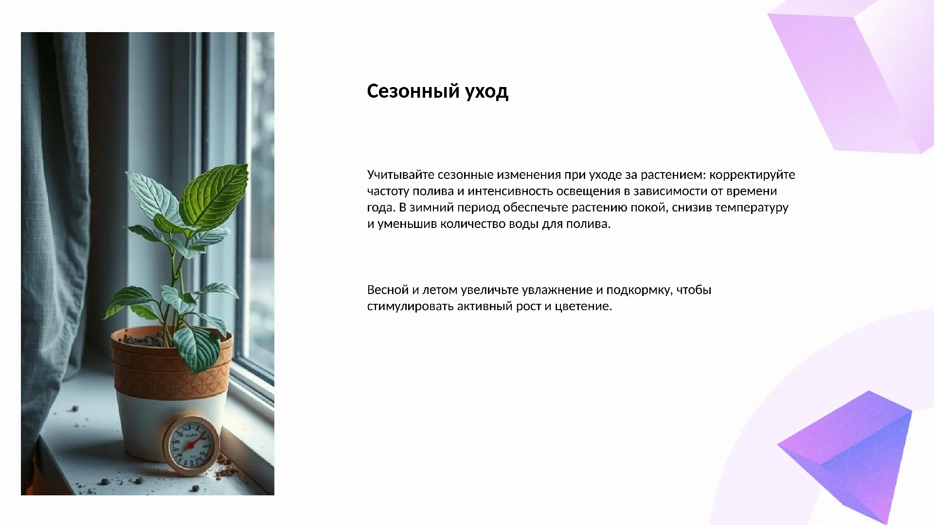 Сезонный уход - слайд для презентации на тему 