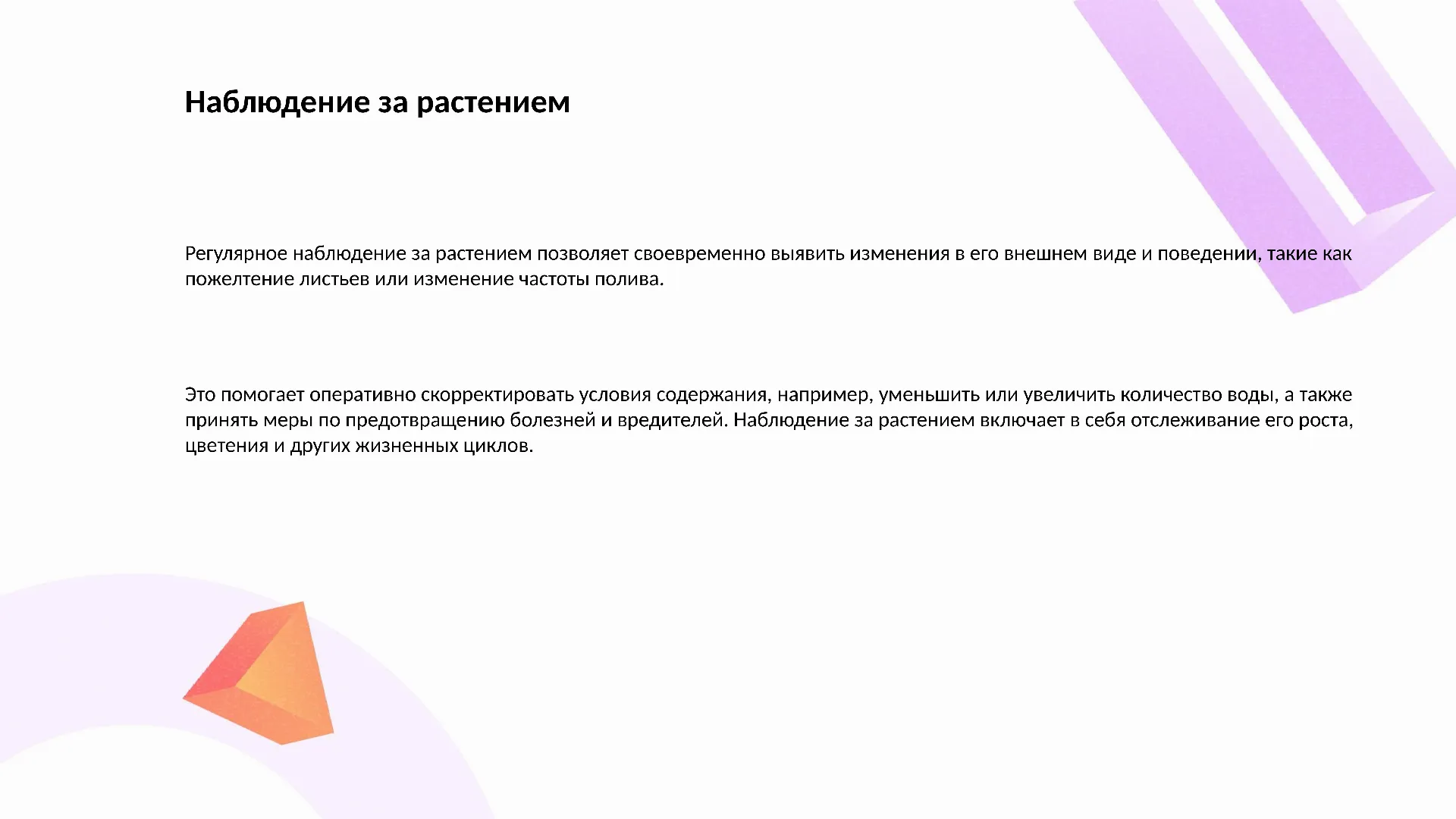 Наблюдение за растением - слайд для презентации на тему 