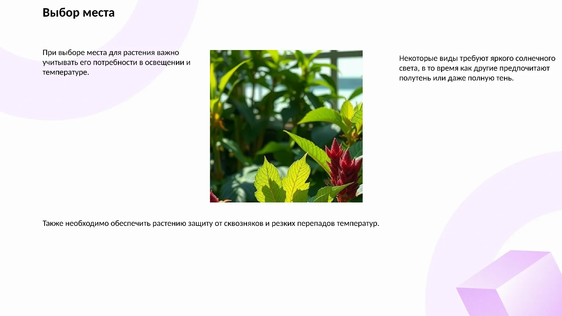 Выбор места - слайд для презентации на тему 