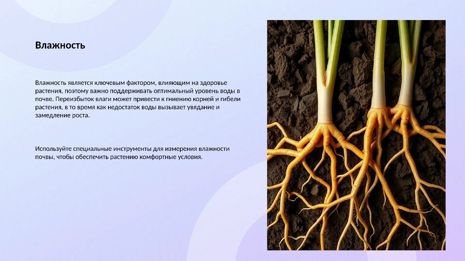 Влажность - слайд для презентации на тему 