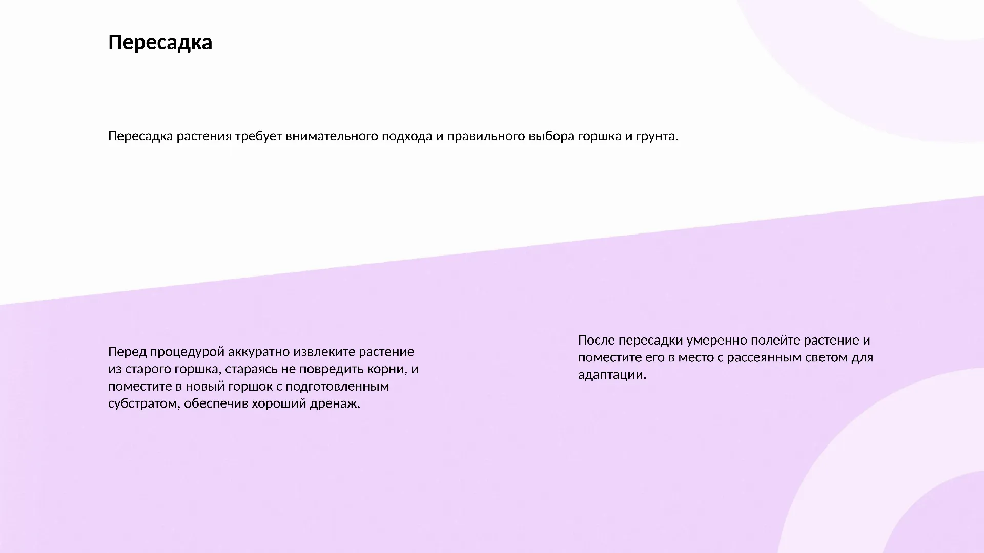 Пересадка - слайд для презентации на тему 