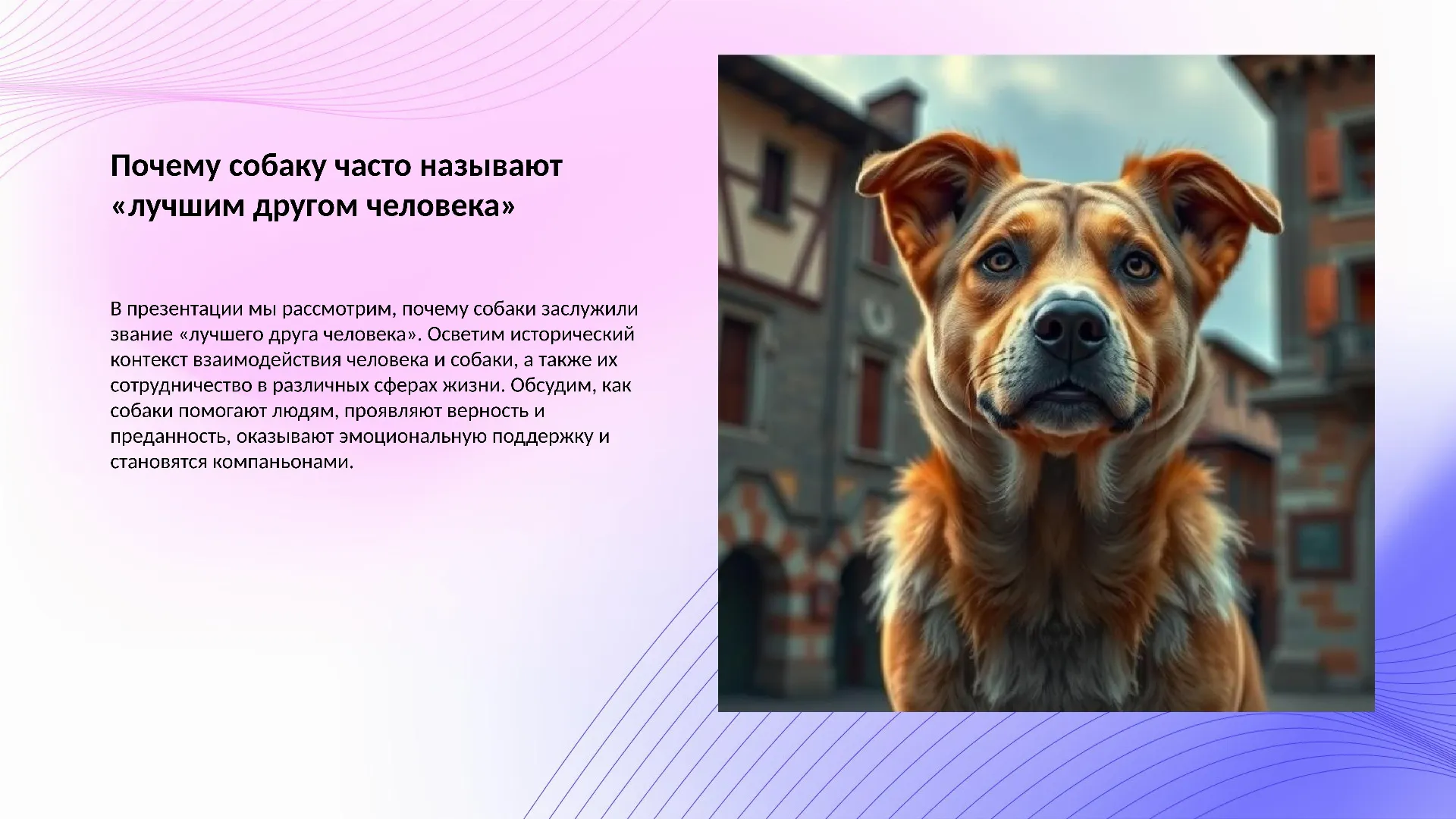 Почему собаку часто называют «лучшим другом человека»?