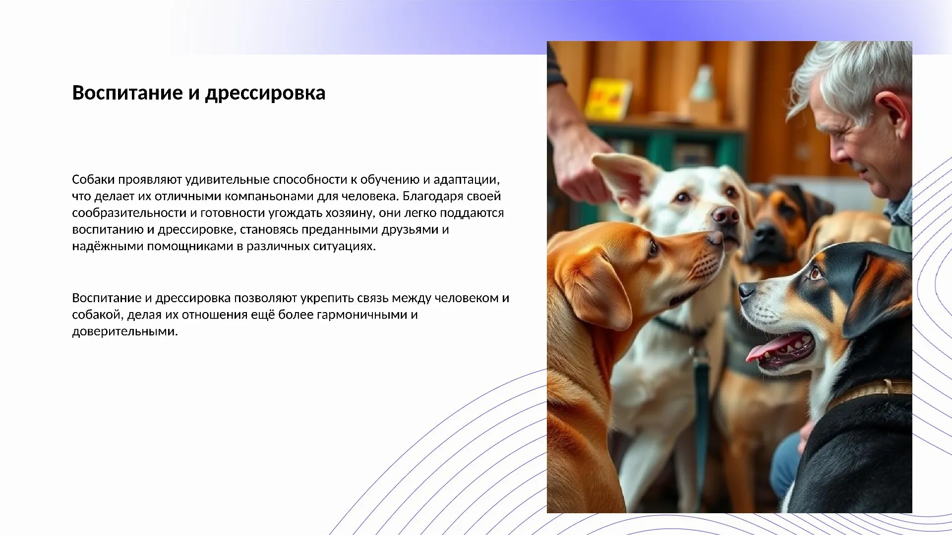 Воспитание и дрессировка - слайд для презентации на тему 