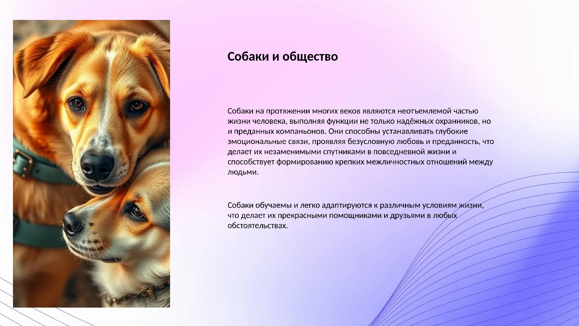 Собаки и общество - слайд для презентации на тему 