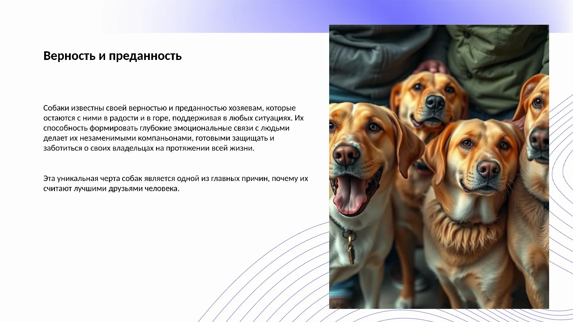 Верность и преданность - слайд для презентации на тему 