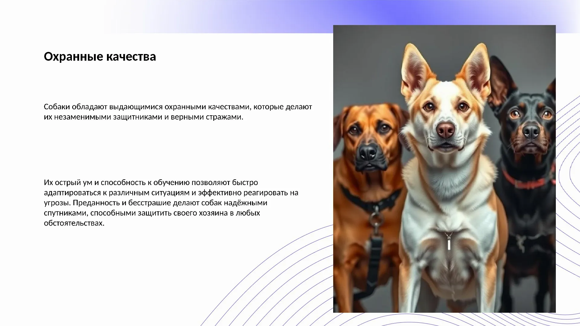 Охранные качества - слайд для презентации на тему 
