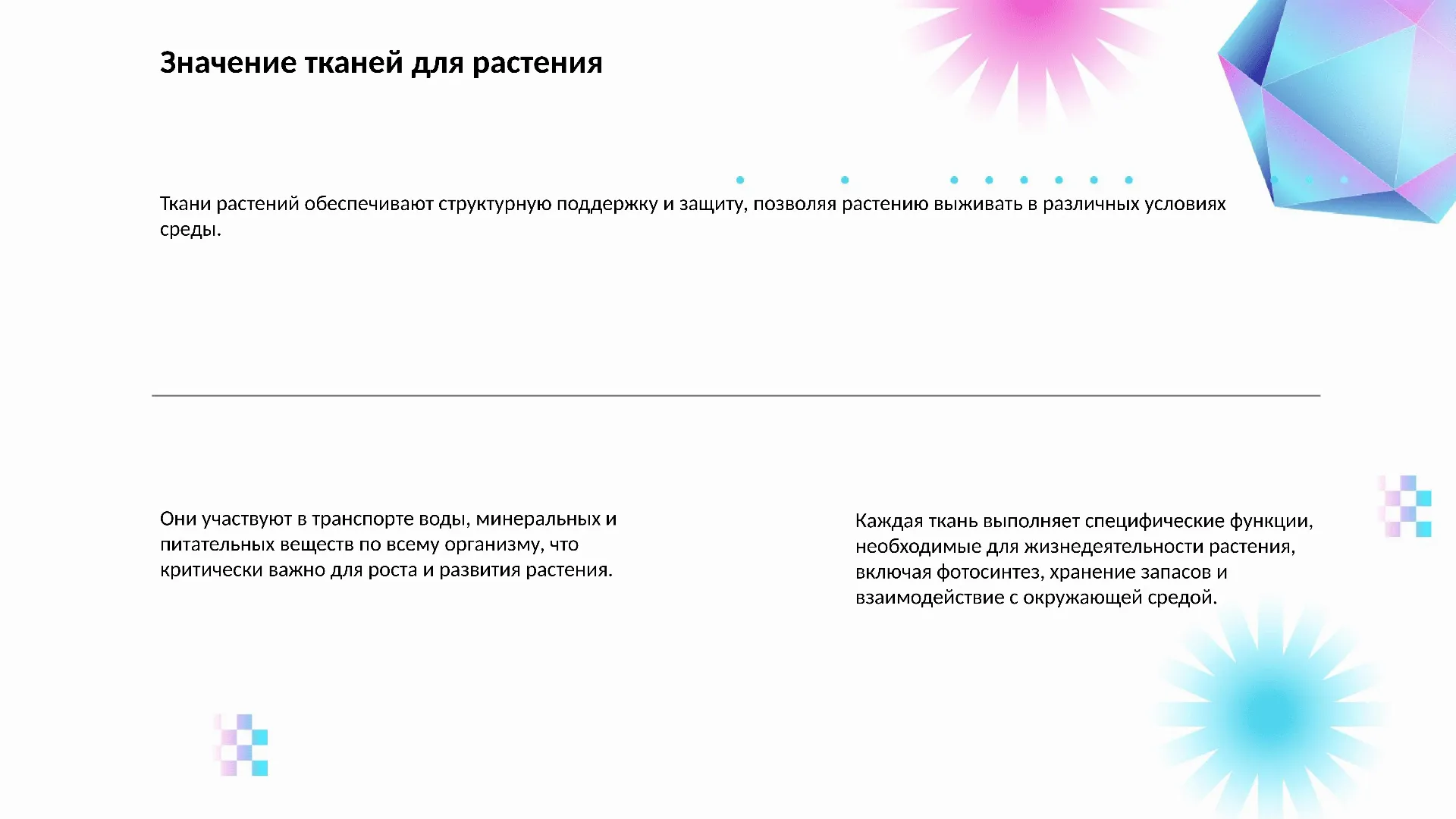 Значение тканей для растения - слайд для презентации на тему 