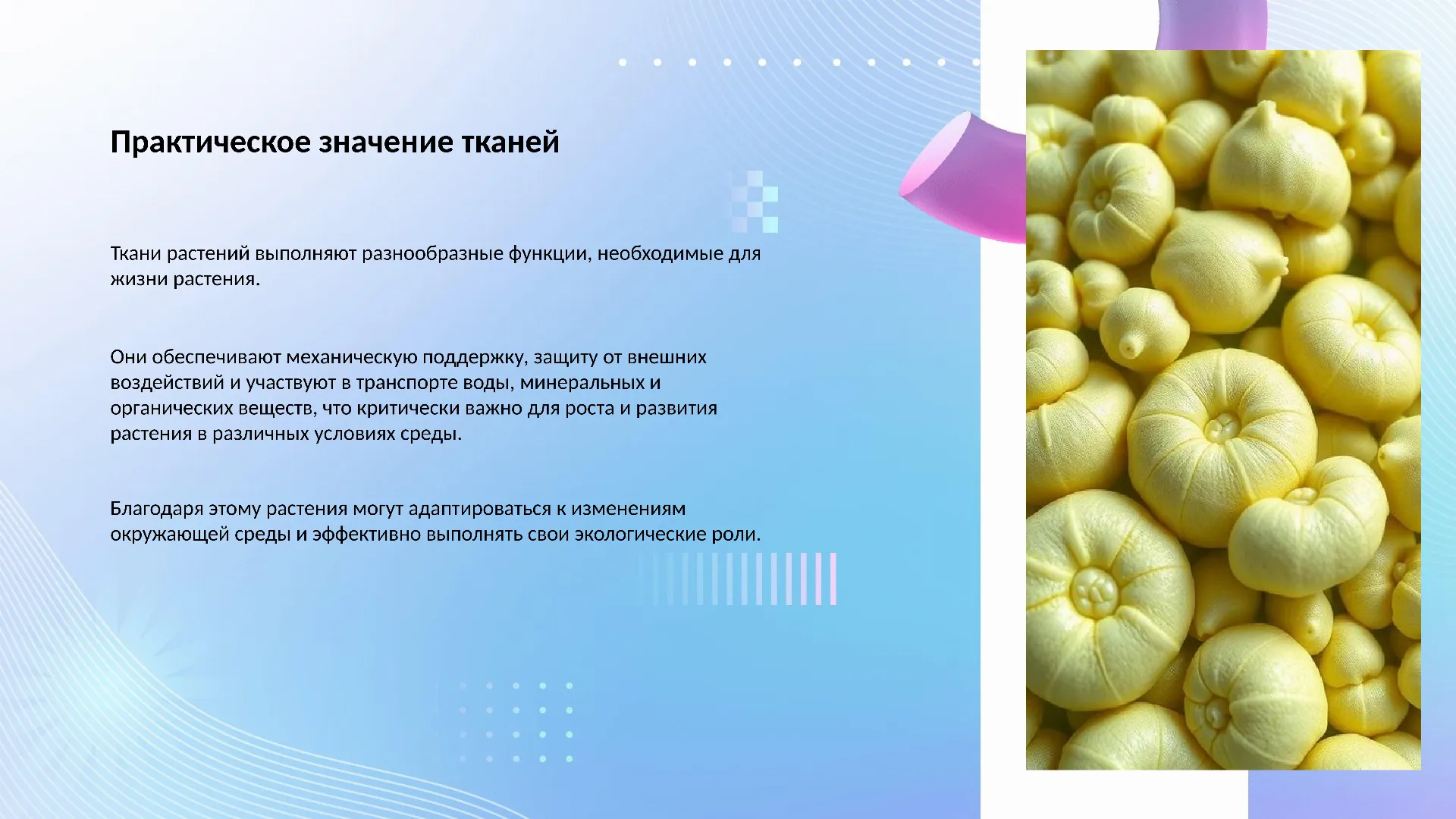 Практическое значение тканей - слайд для презентации на тему 