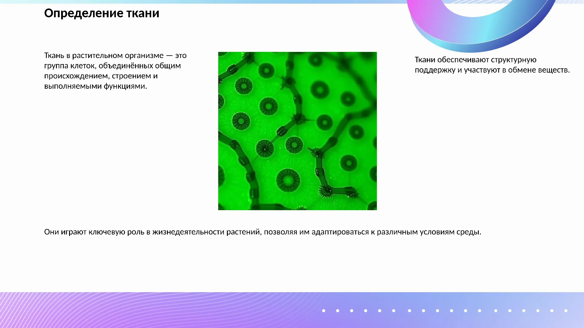 Определение ткани - слайд для презентации на тему 