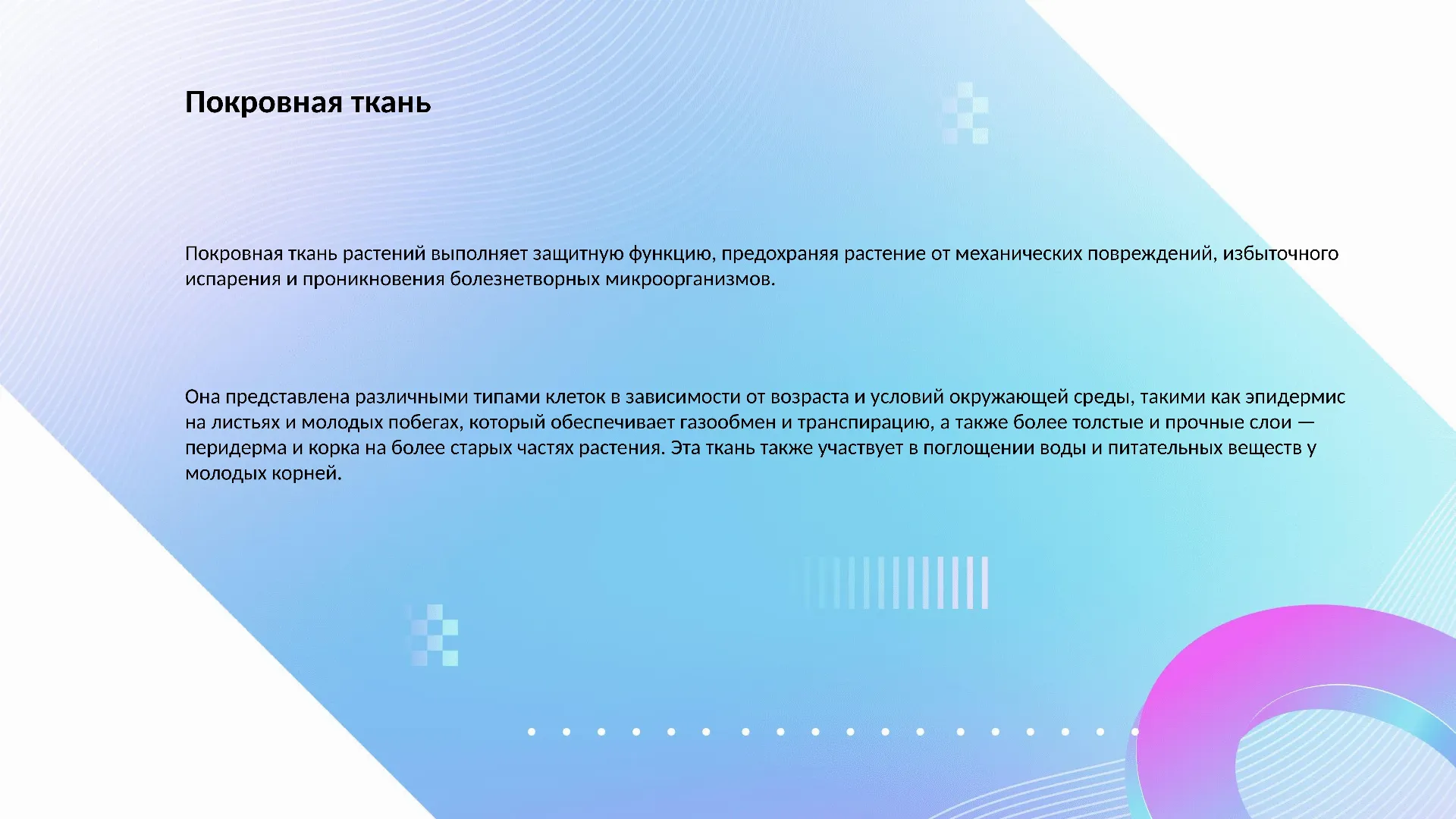 Покровная ткань - слайд для презентации на тему 