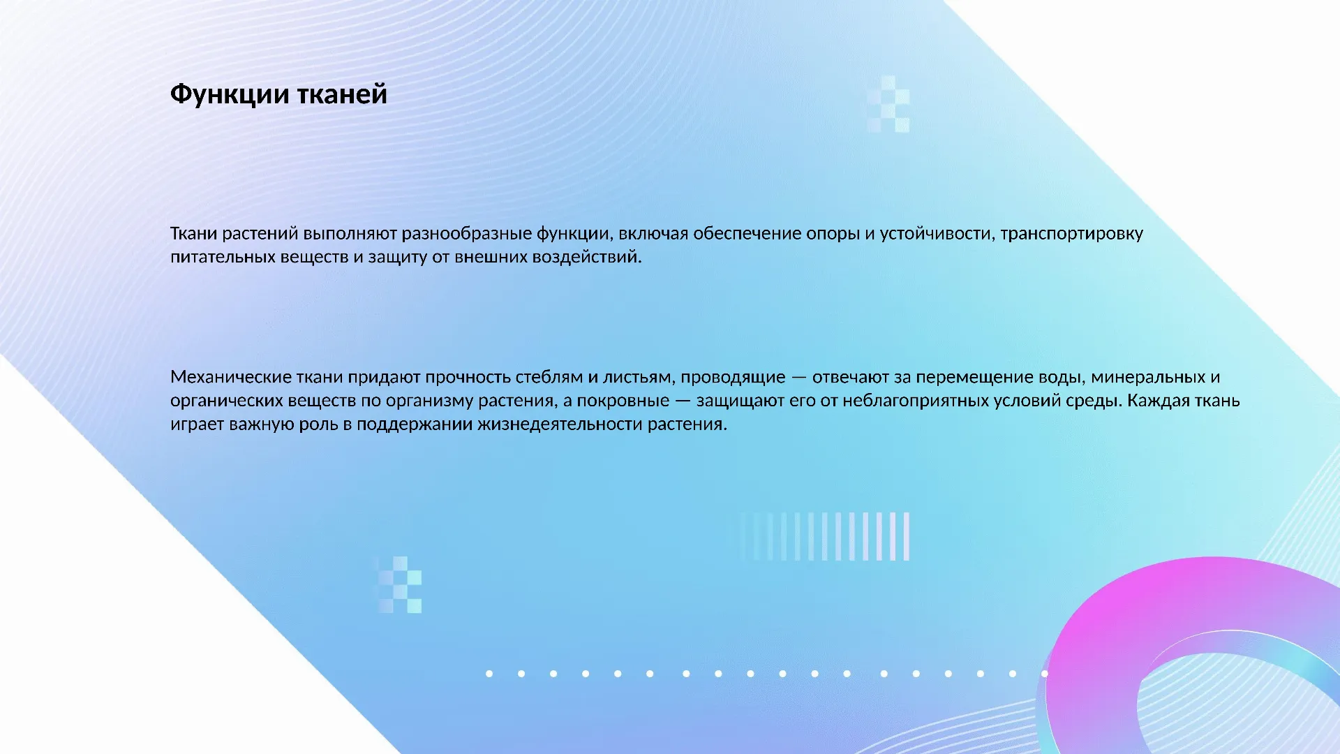 Функции тканей - слайд для презентации на тему 